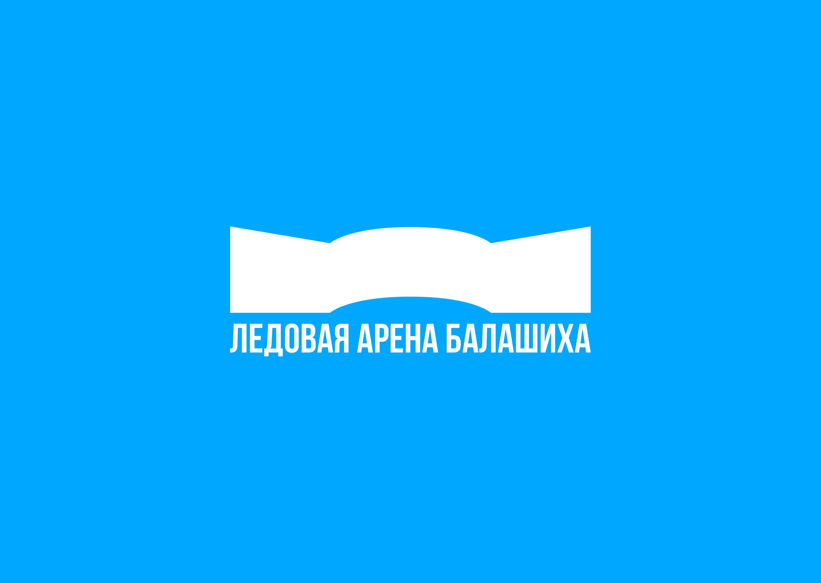 Брендинг Ледовой арены Балашихи — Изображение №2 — Брендинг на Dprofile