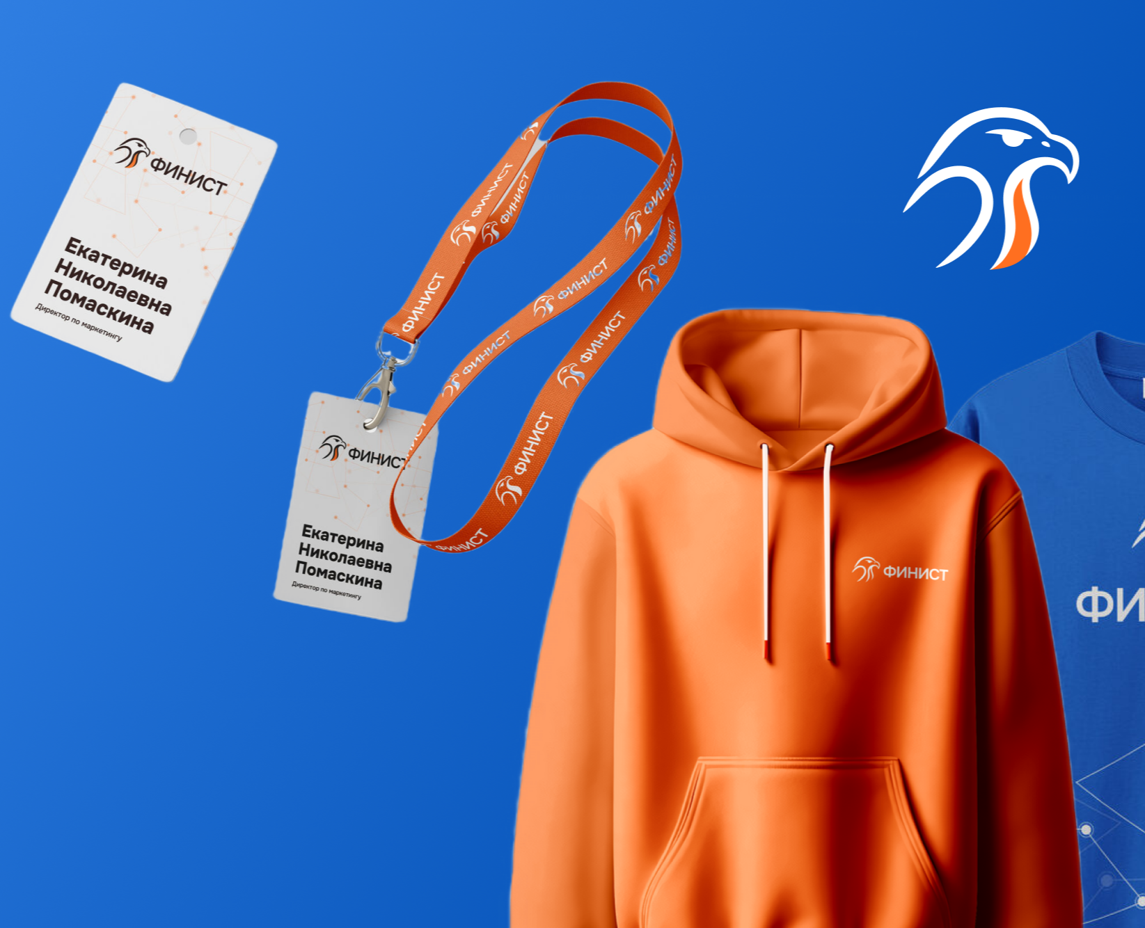 Редизайн фирменного стиля Finist Soft — Брендинг на Dprofile