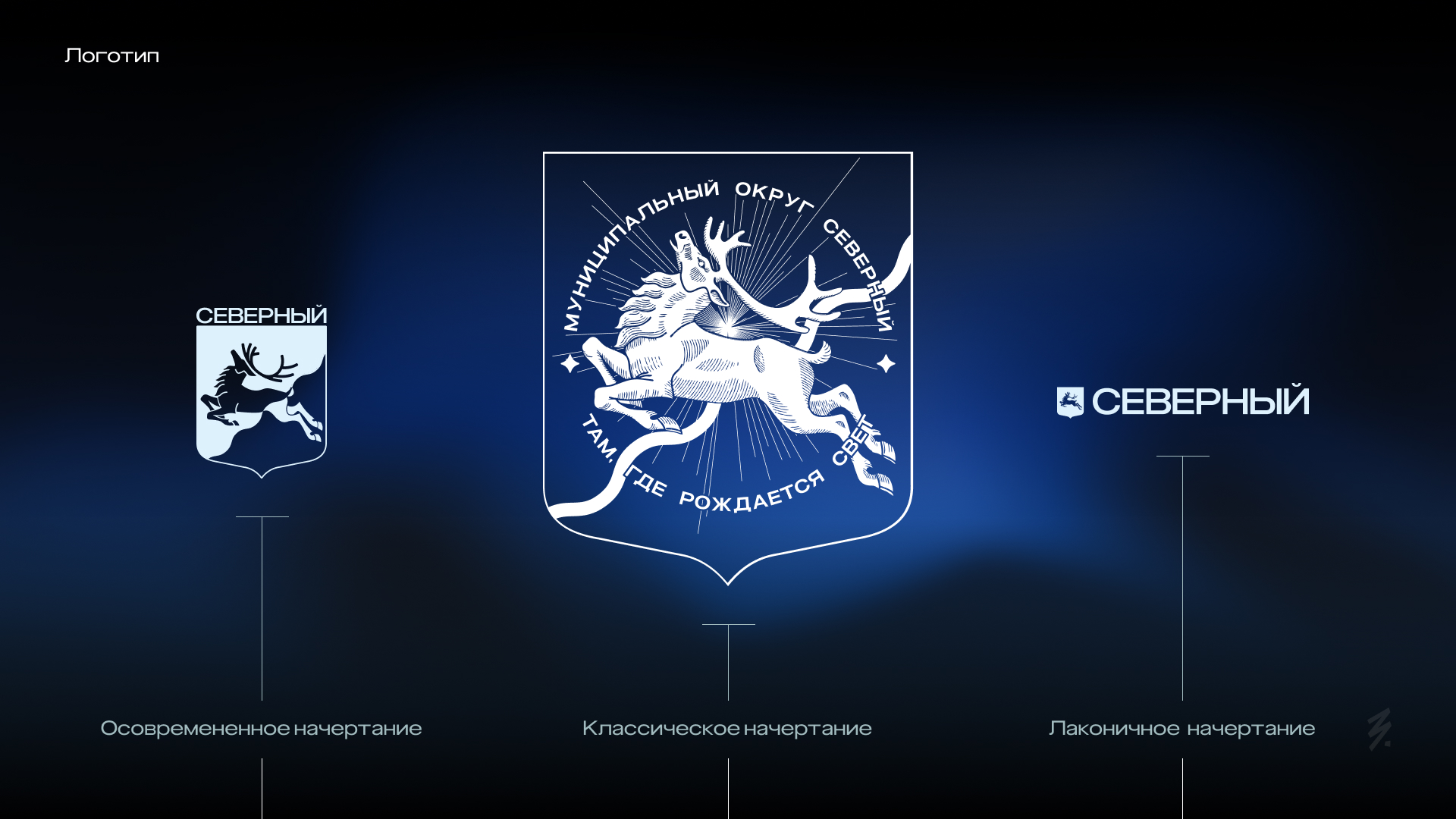Муниципальный округ Северный — Изображение №4 — Брендинг на Dprofile