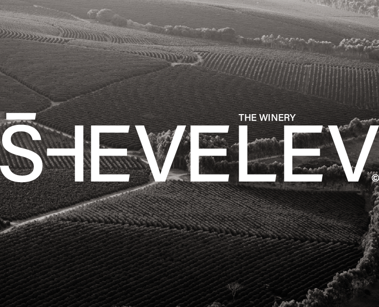 SHEVELEV the winery на Dprofile