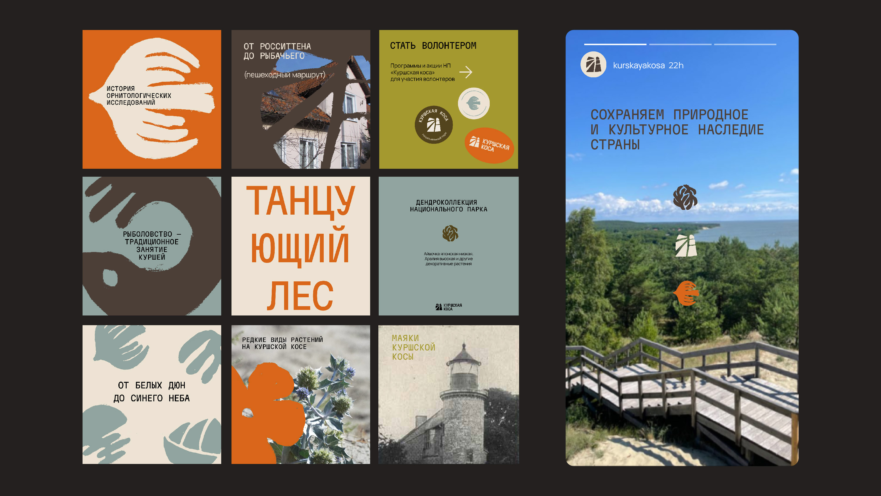 Ребрендинг национального парка «Куршская коса» — Изображение №7 — Брендинг, Графика на Dprofile