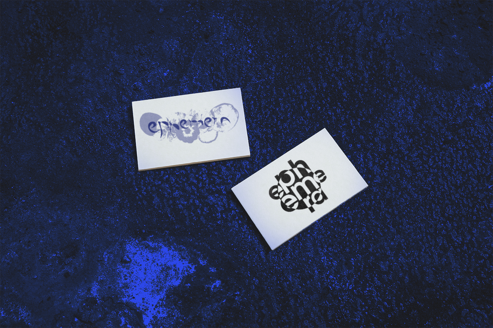 Ephemera — Изображение №3 — Брендинг на Dprofile