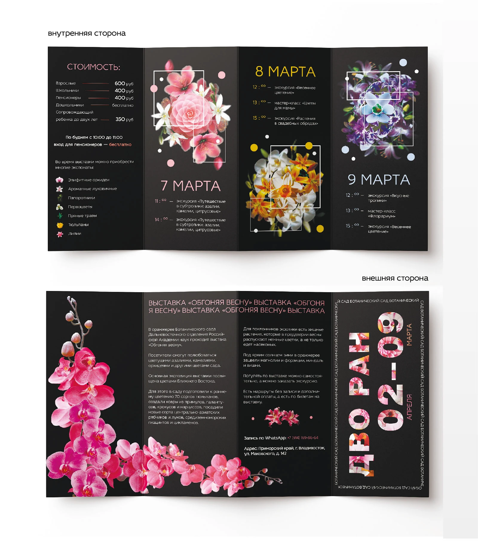 Буклет ДВО РАН / Ботанический сад — Изображение №2 — Графика на Dprofile