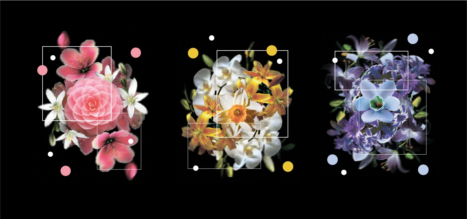 Буклет ДВО РАН / Ботанический сад — Изображение №3 — Графика на Dprofile