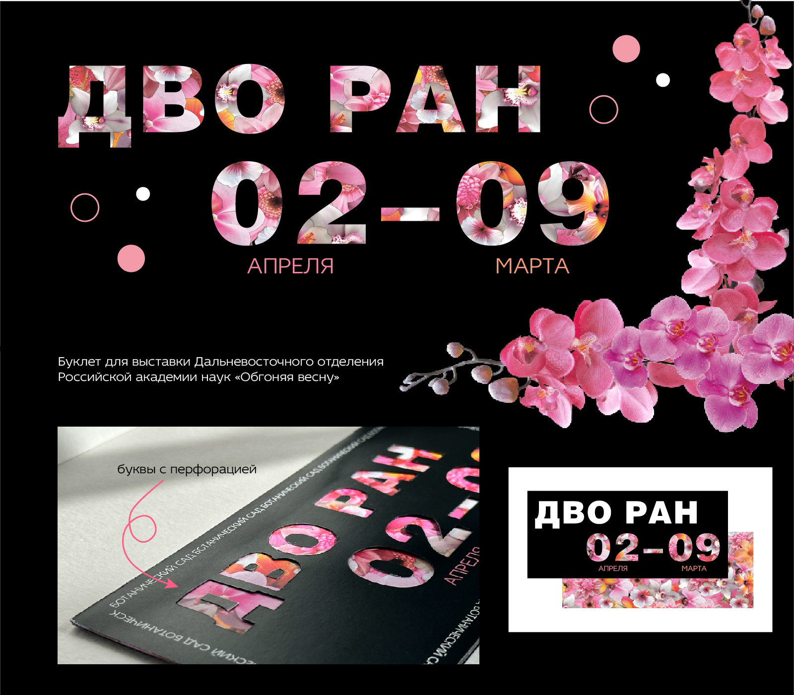 Буклет ДВО РАН / Ботанический сад — Изображение №1 — Графика на Dprofile