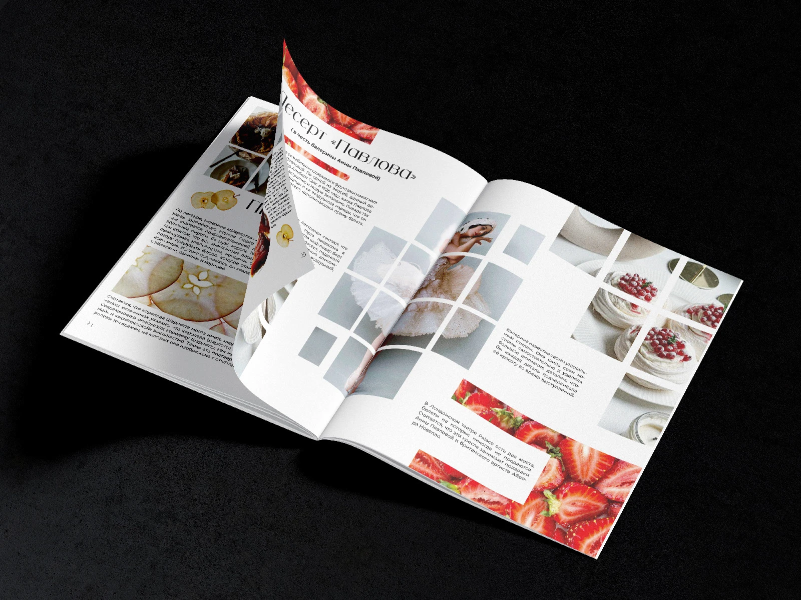 Брошюра "Блюда, названные в честь известных личностей" — Изображение №5 — Графика на Dprofile