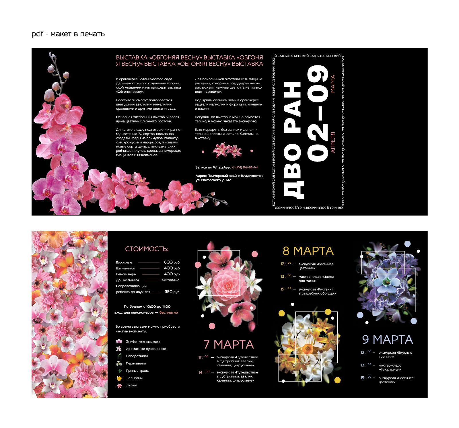 Буклет ДВО РАН / Ботанический сад — Изображение №4 — Графика на Dprofile