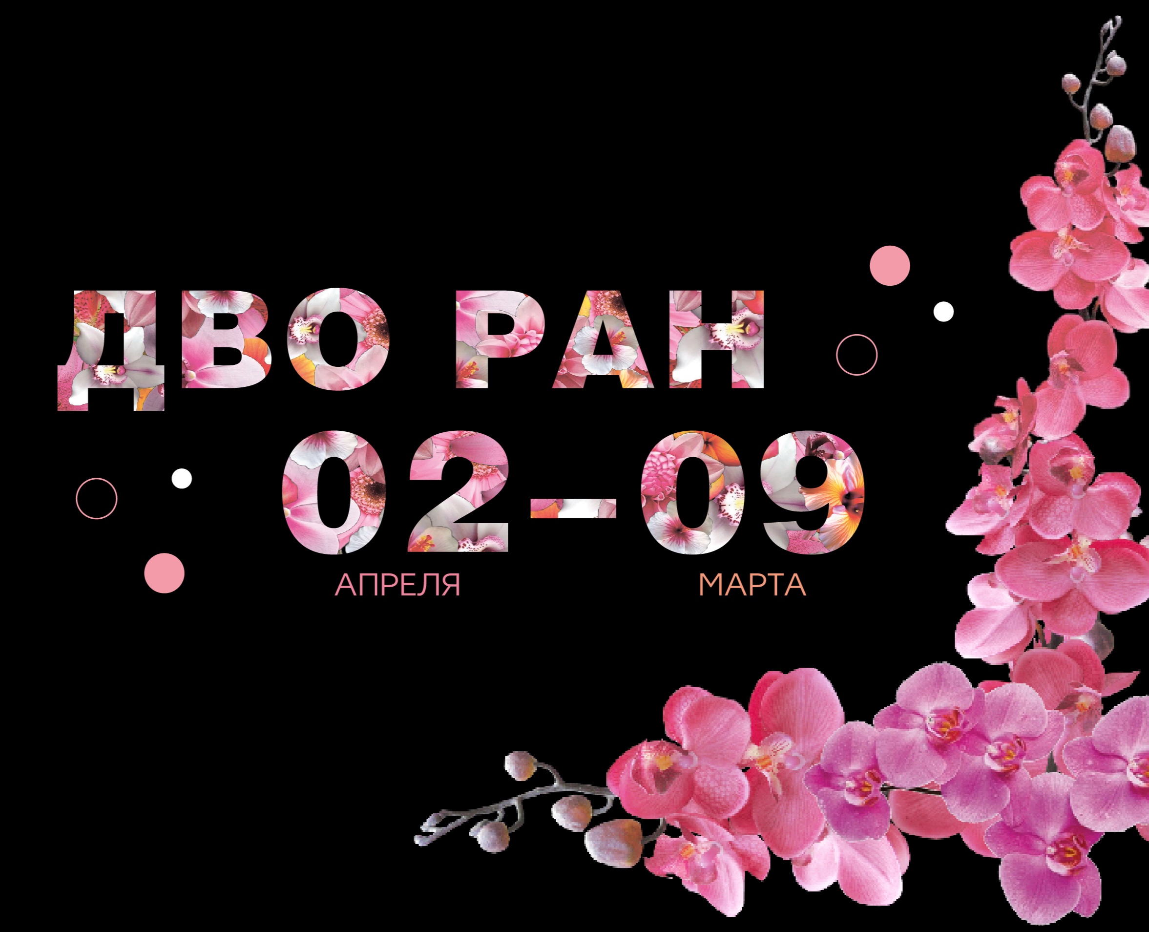 Буклет ДВО РАН / Ботанический сад — Графика на Dprofile