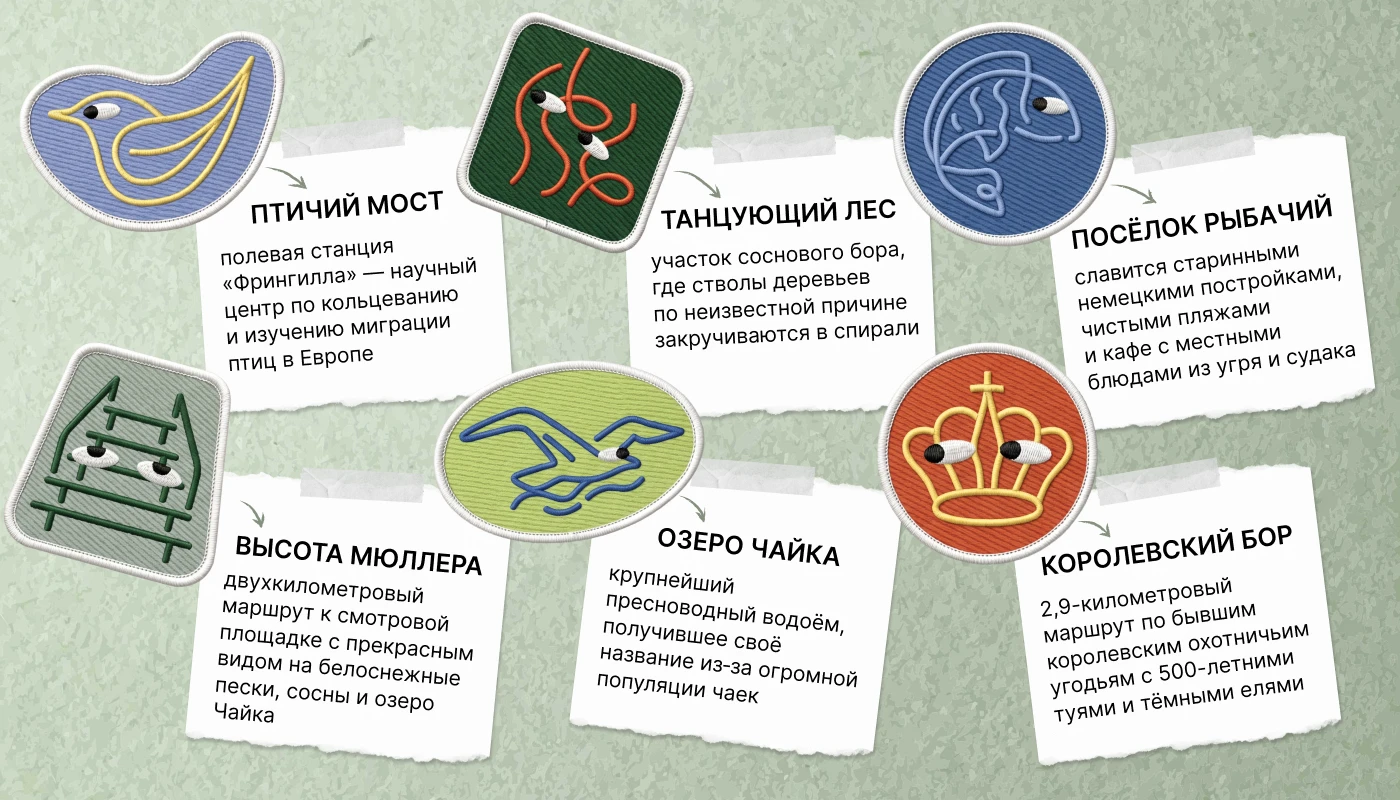 Айдентика национального парка «Куршская коса» — Изображение №7 — Брендинг на Dprofile