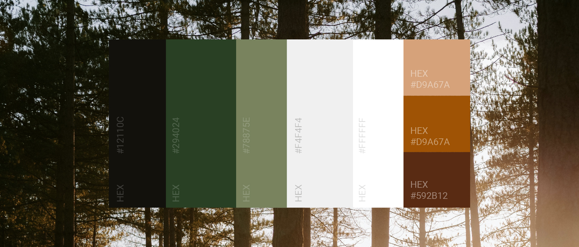 Загородный клуб «Охта» — Изображение №12 — Брендинг, Маркетинг на Dprofile