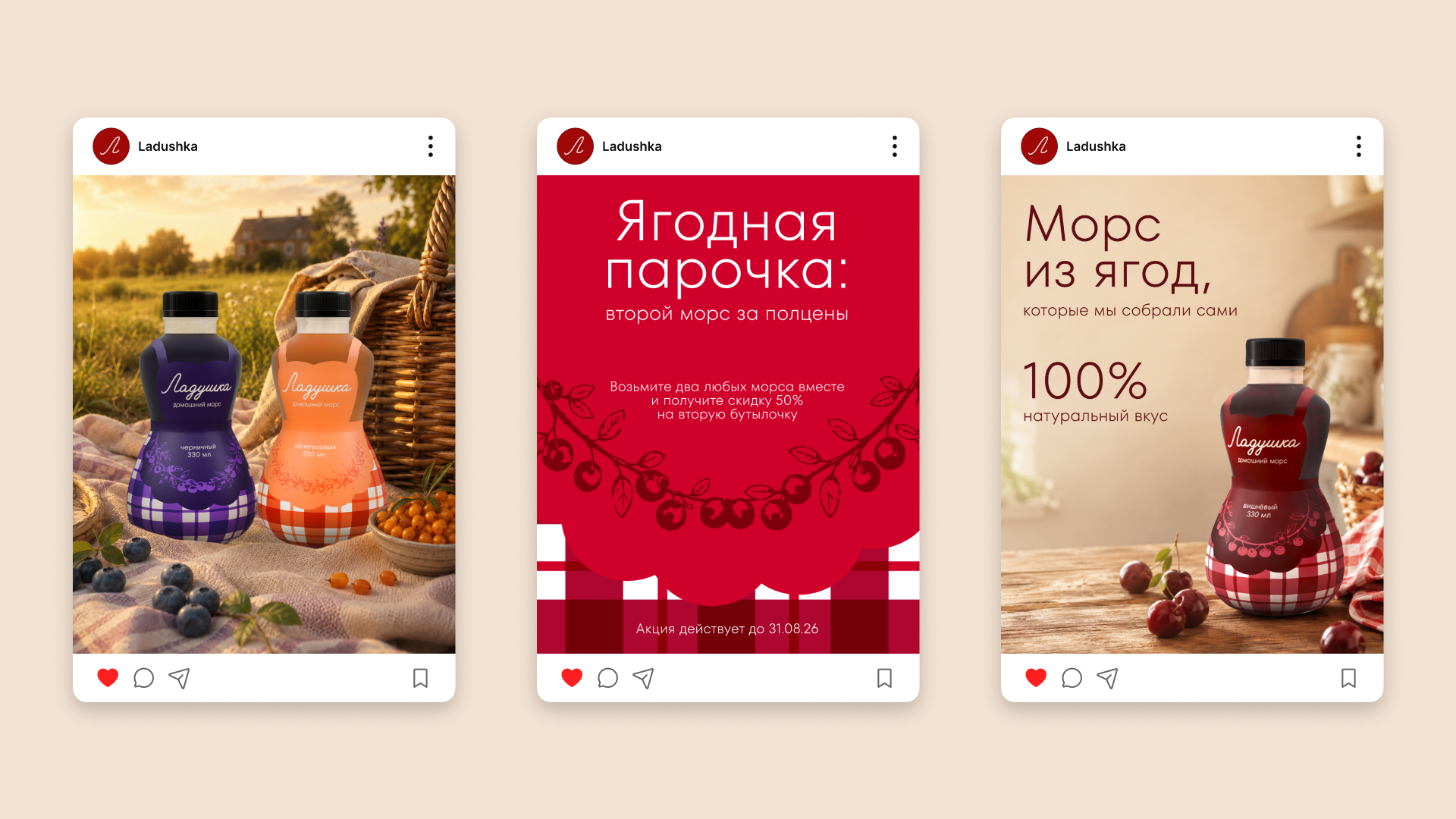 Упаковка натуральных морсов «Ладушка» — Изображение №8 — Брендинг, Графика на Dprofile