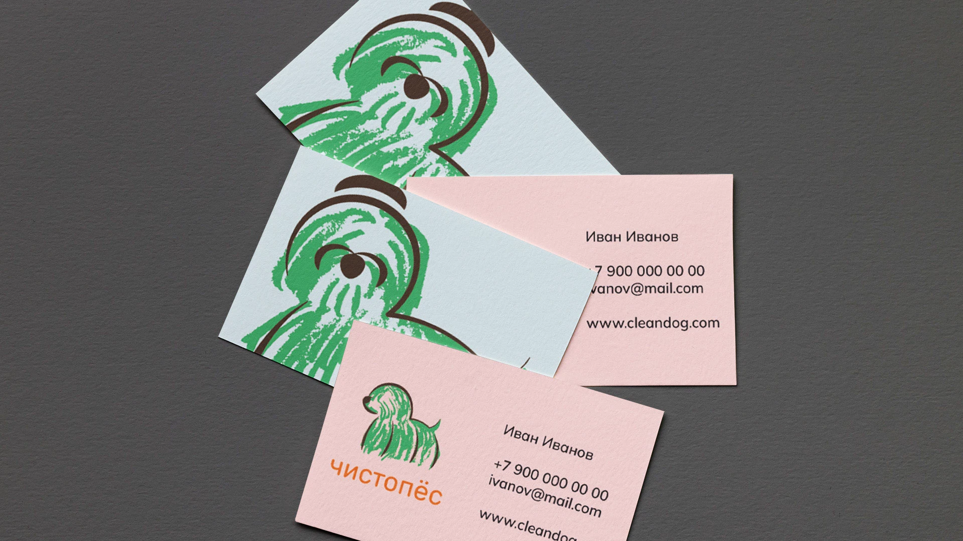 ЧистоПёс | Бытовые средства — Изображение №3 — Брендинг на Dprofile