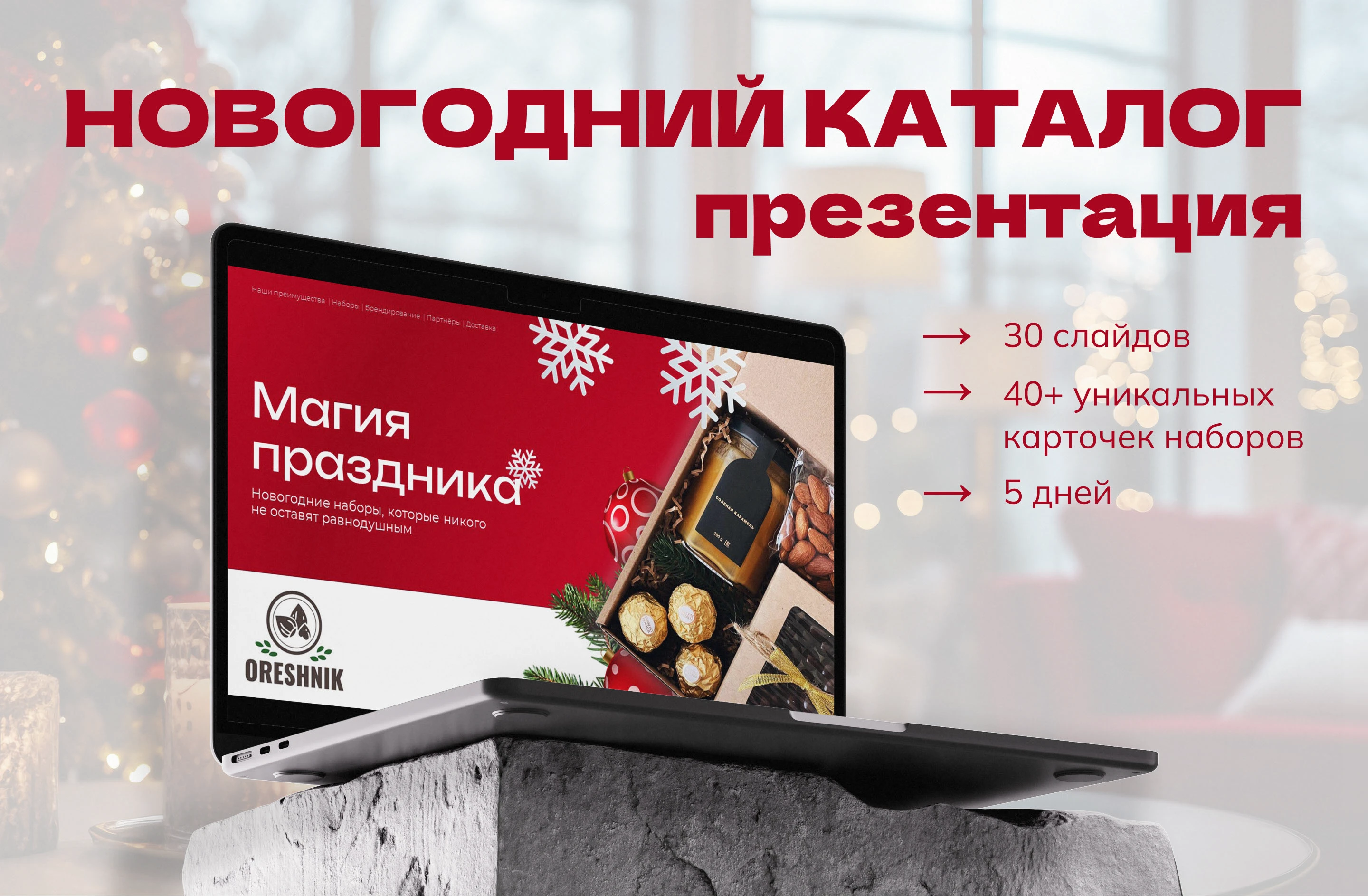 Новогодний каталог-презентация — Изображение №1 — Графика, Маркетинг на Dprofile