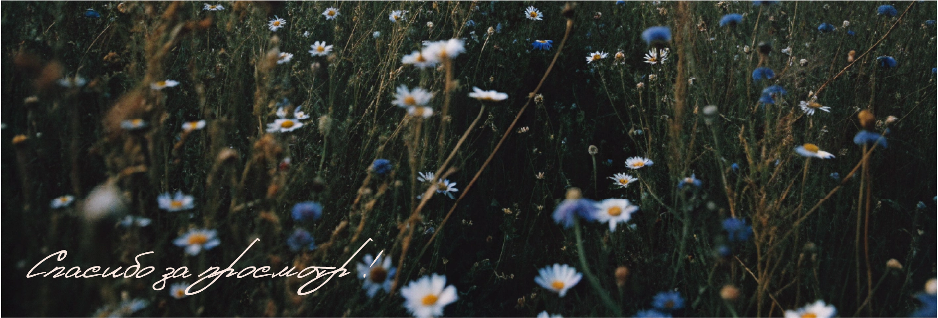 Айдентика кофейни «Искра» — Изображение №10 — Брендинг на Dprofile