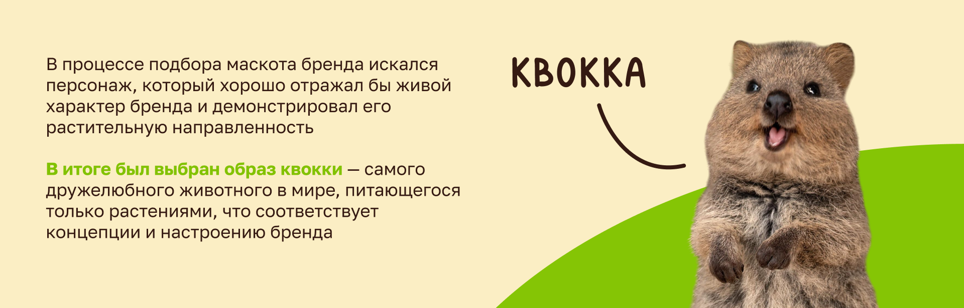 Дизайн упаковки «Веги Вуги» — Изображение №7 — Брендинг, Иллюстрация на Dprofile