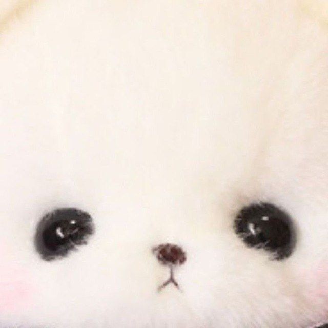 Аватар пользователя Патя Иразиева