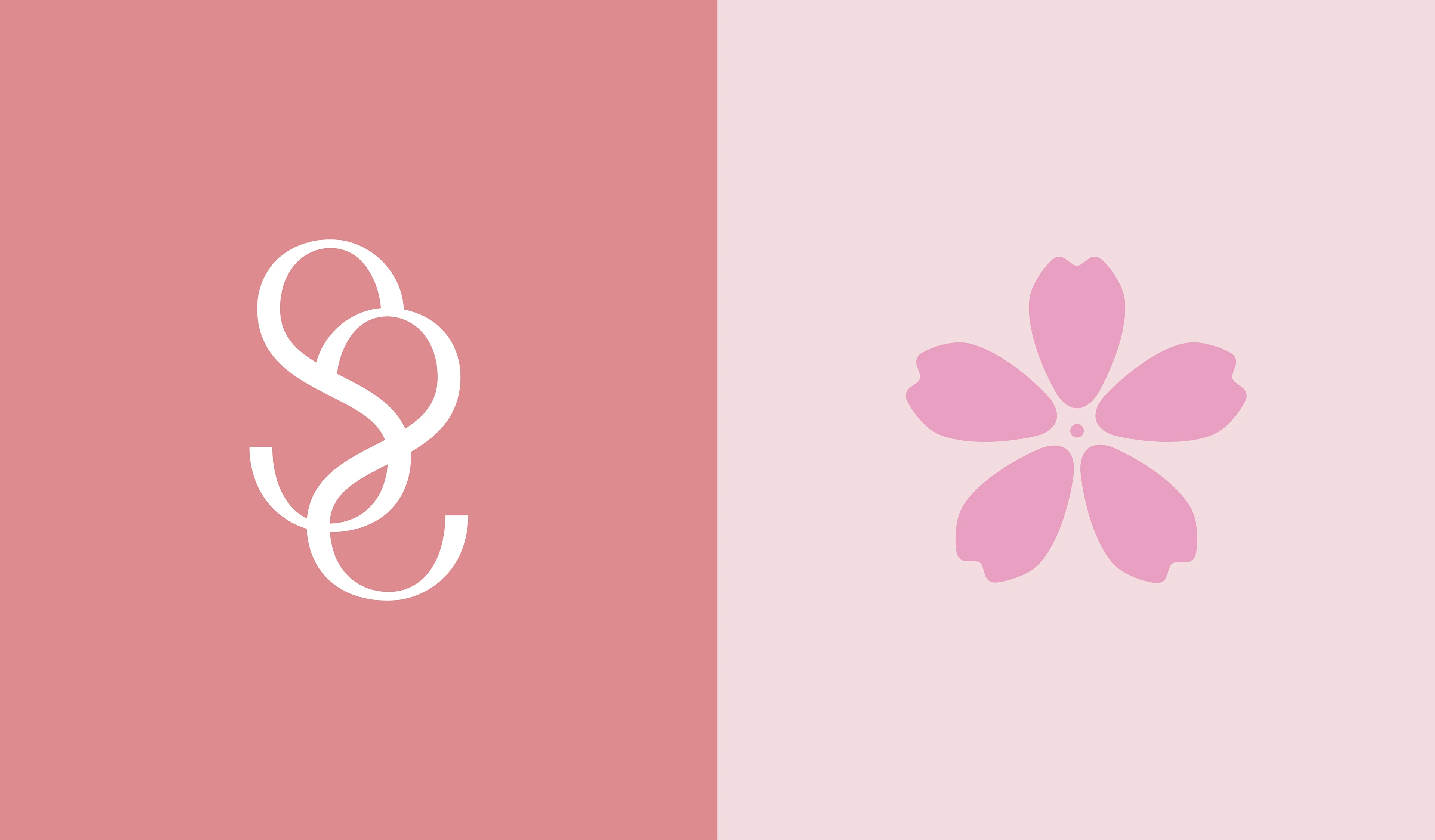 Фирменный стиль бренда "Spring" — Изображение №3 — Брендинг на Dprofile