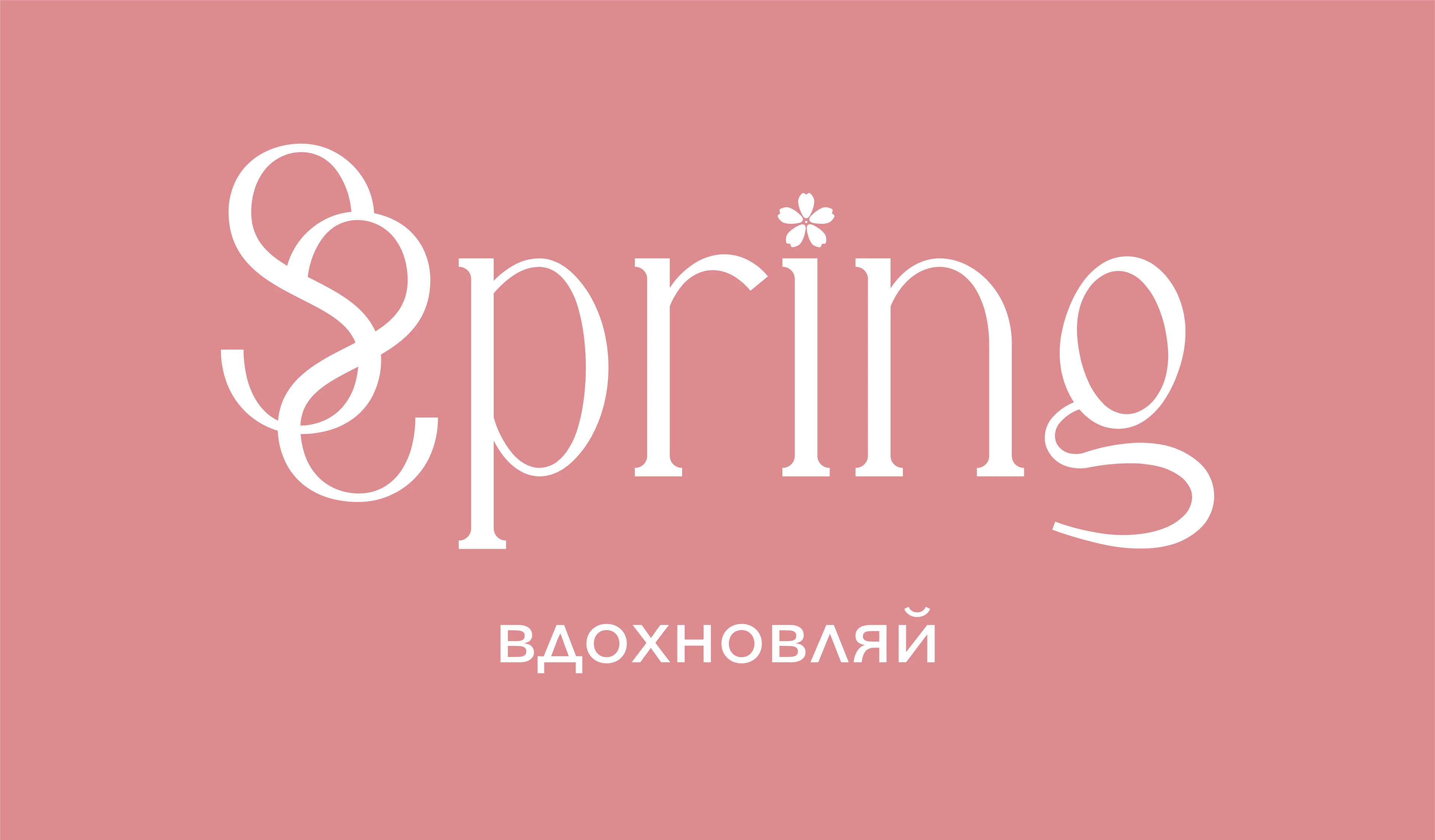 Фирменный стиль бренда "Spring" — Изображение №5 — Брендинг на Dprofile