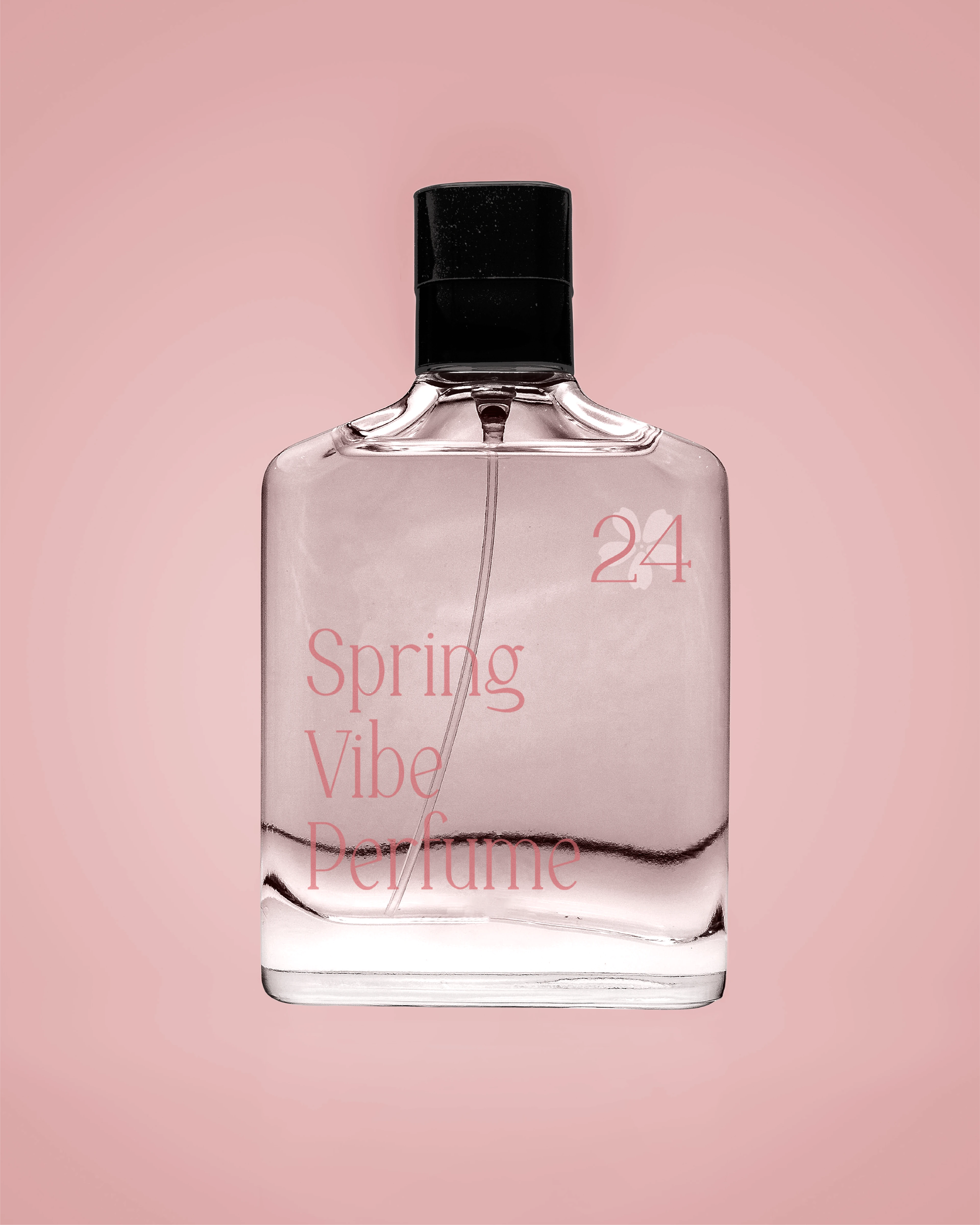 Фирменный стиль бренда "Spring" — Изображение №9 — Брендинг на Dprofile