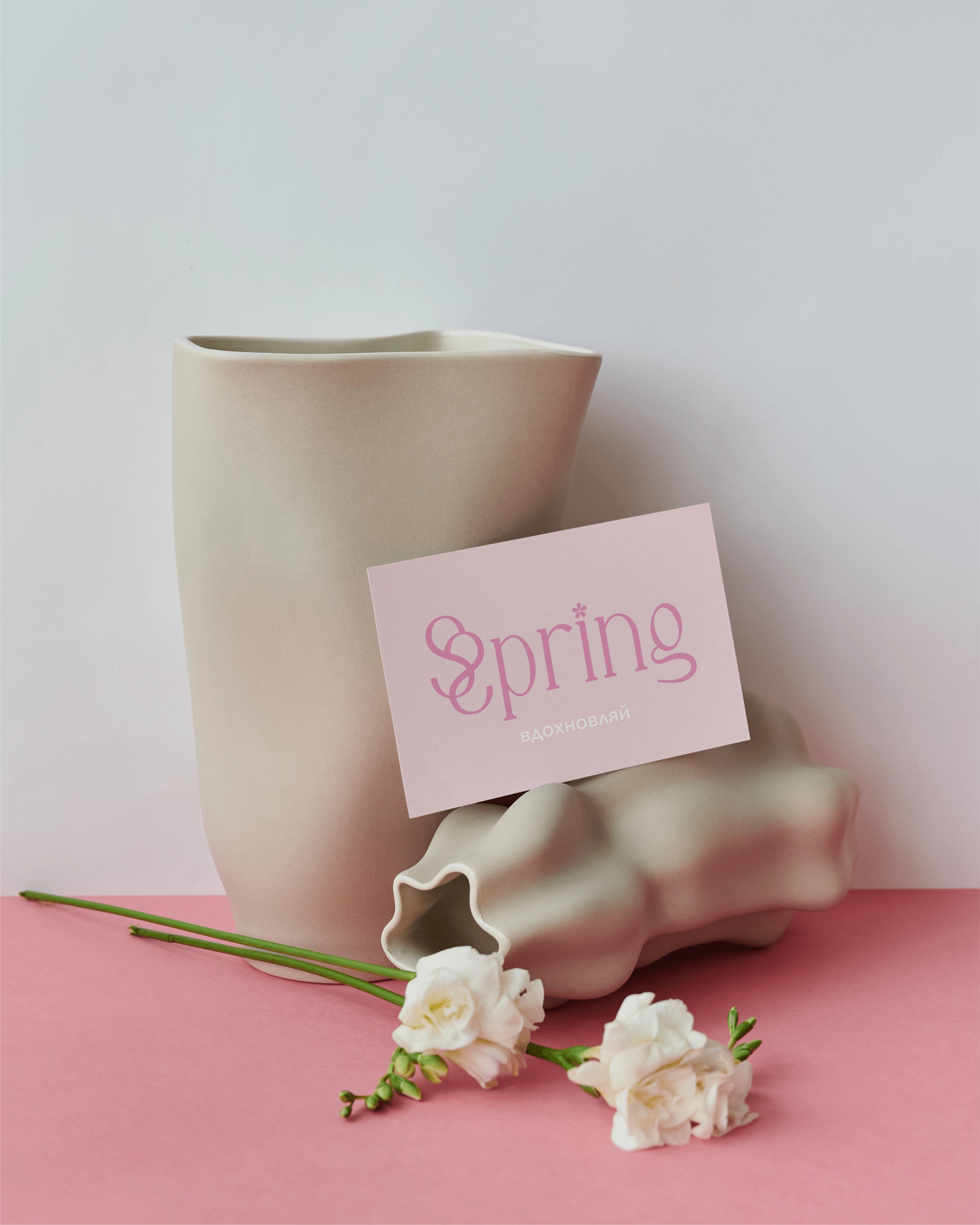 Фирменный стиль бренда "Spring" — Изображение №7 — Брендинг на Dprofile