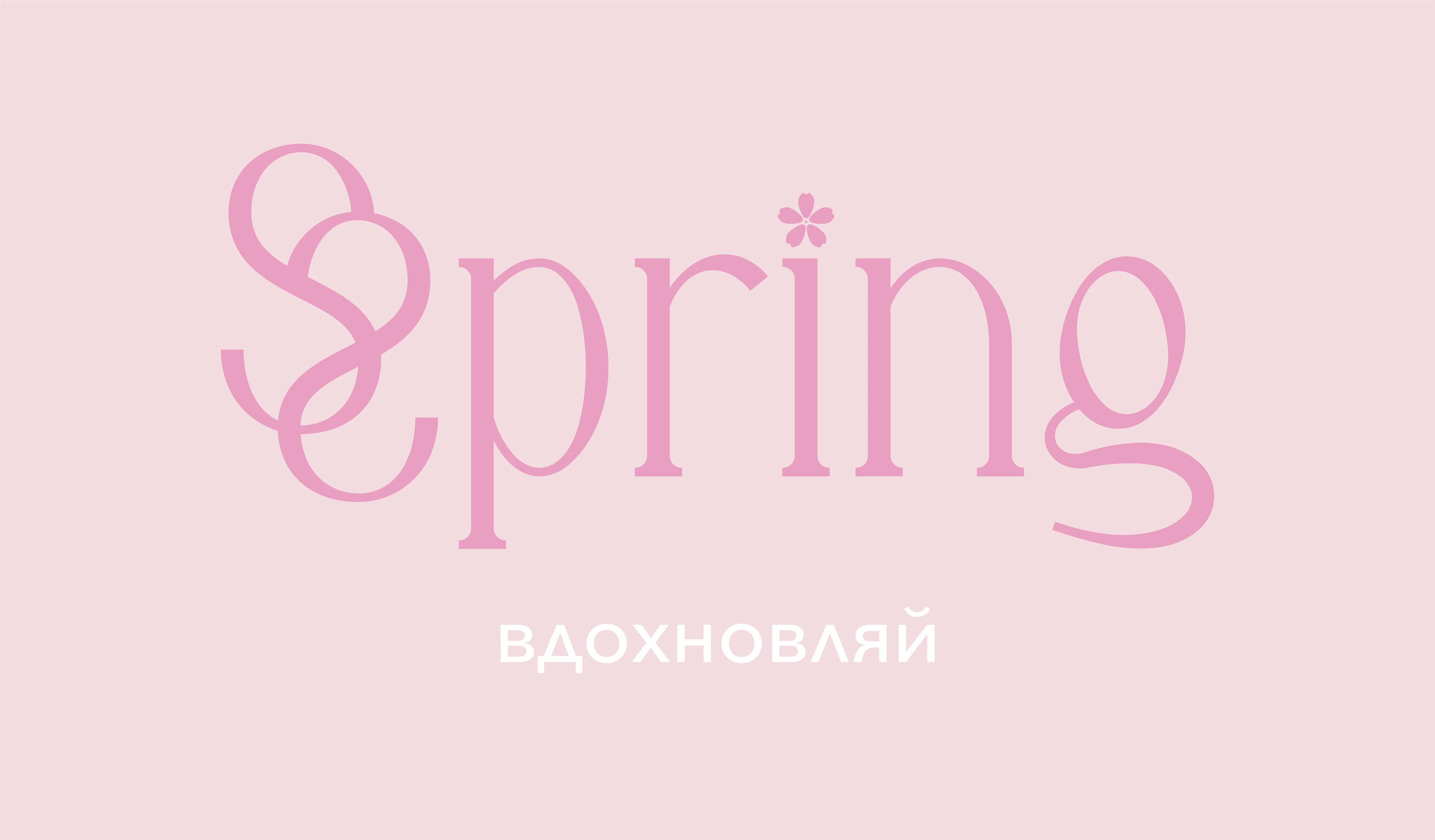 Фирменный стиль бренда "Spring" — Изображение №4 — Брендинг на Dprofile