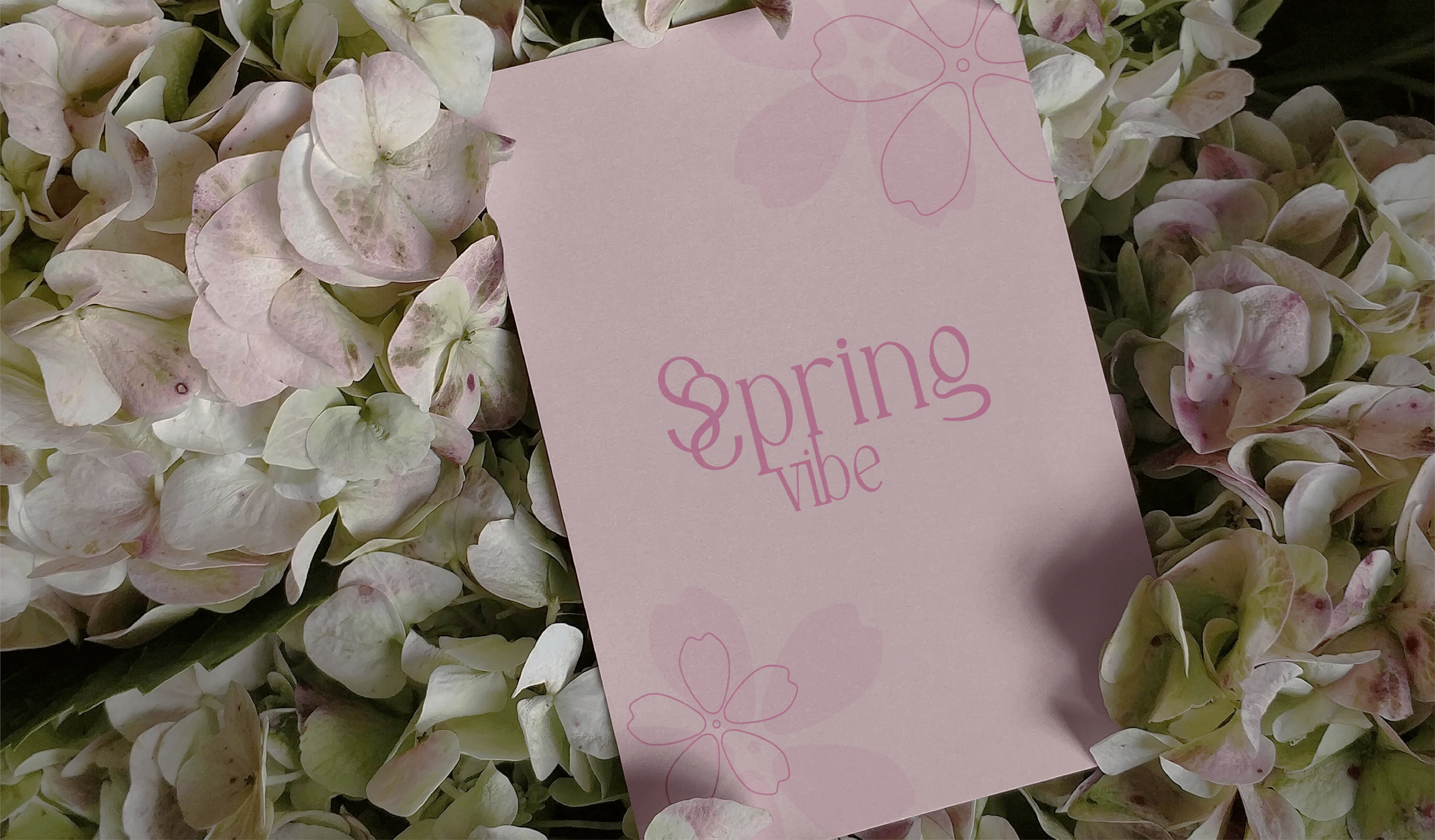 Фирменный стиль бренда "Spring" — Изображение №10 — Брендинг на Dprofile