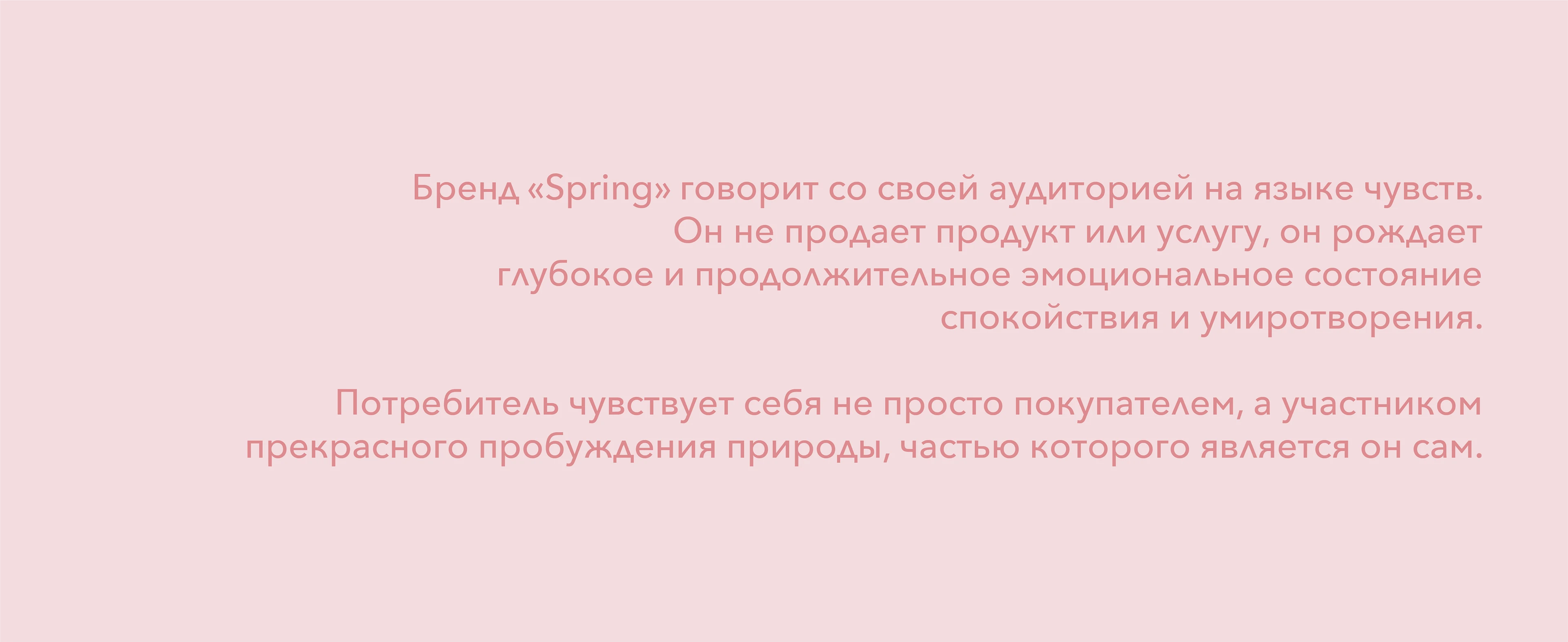 Фирменный стиль бренда "Spring" — Изображение №6 — Брендинг на Dprofile
