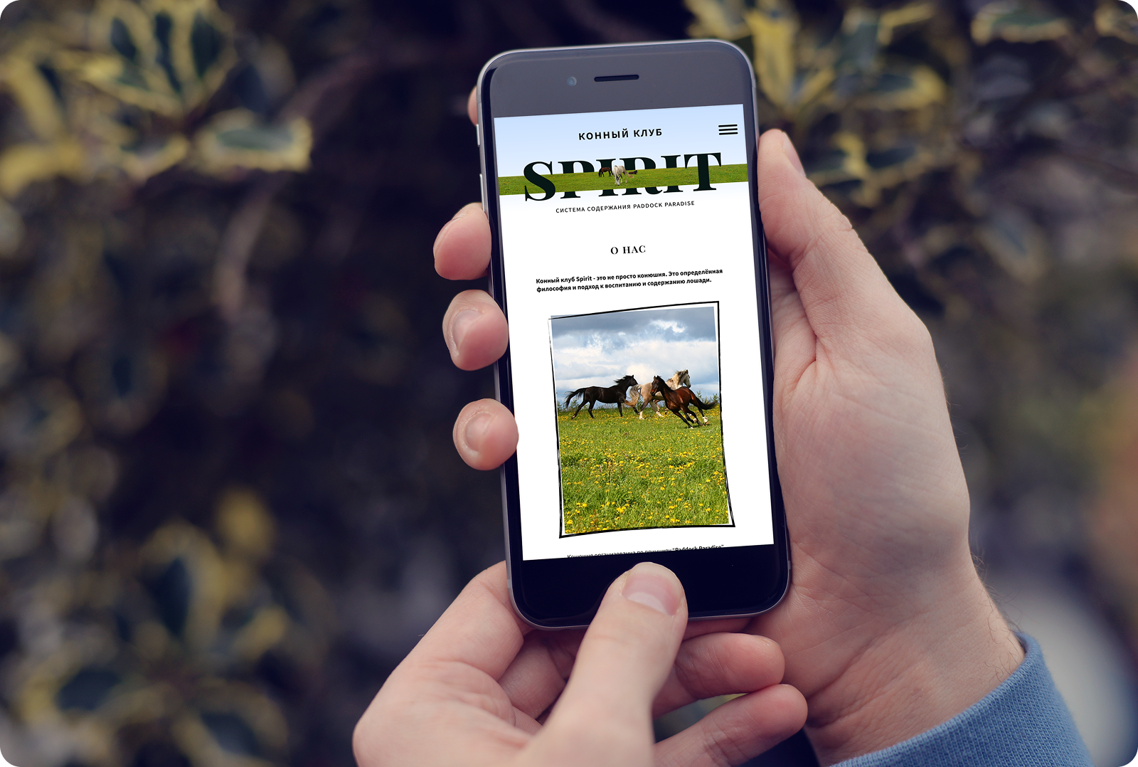 Spirit — Изображение №8 — Интерфейсы на Dprofile