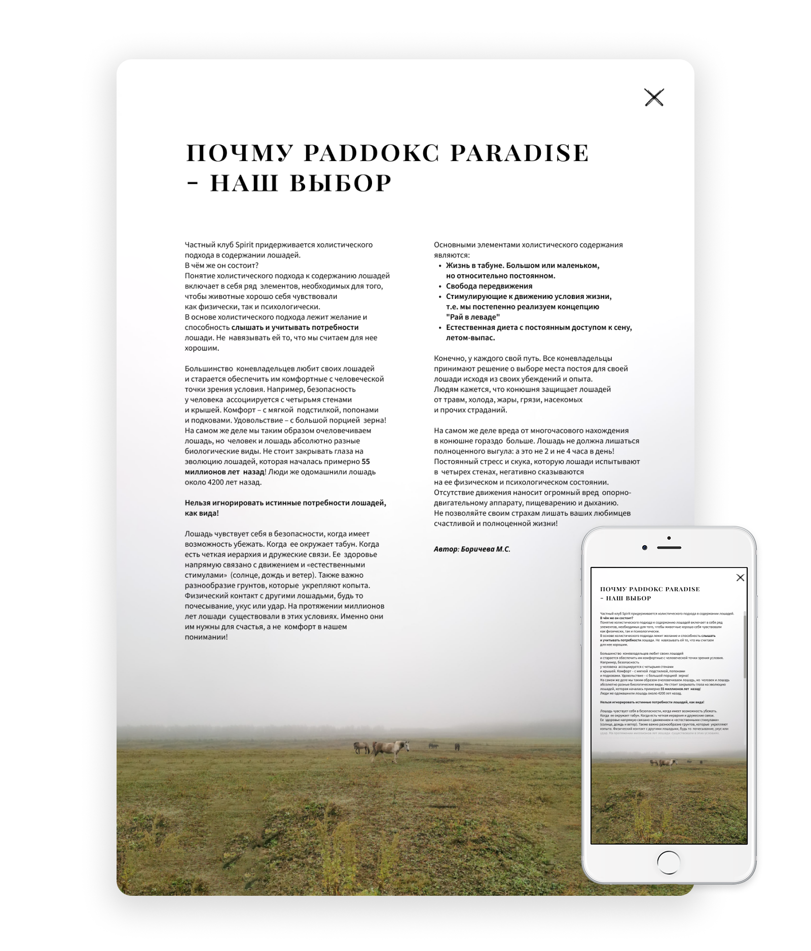 Spirit — Изображение №3 — Интерфейсы на Dprofile