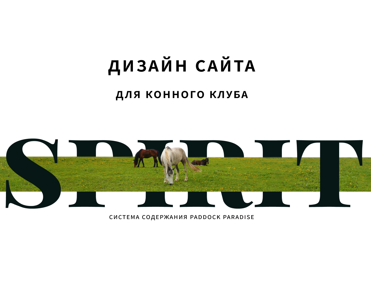Spirit — Интерфейсы на Dprofile