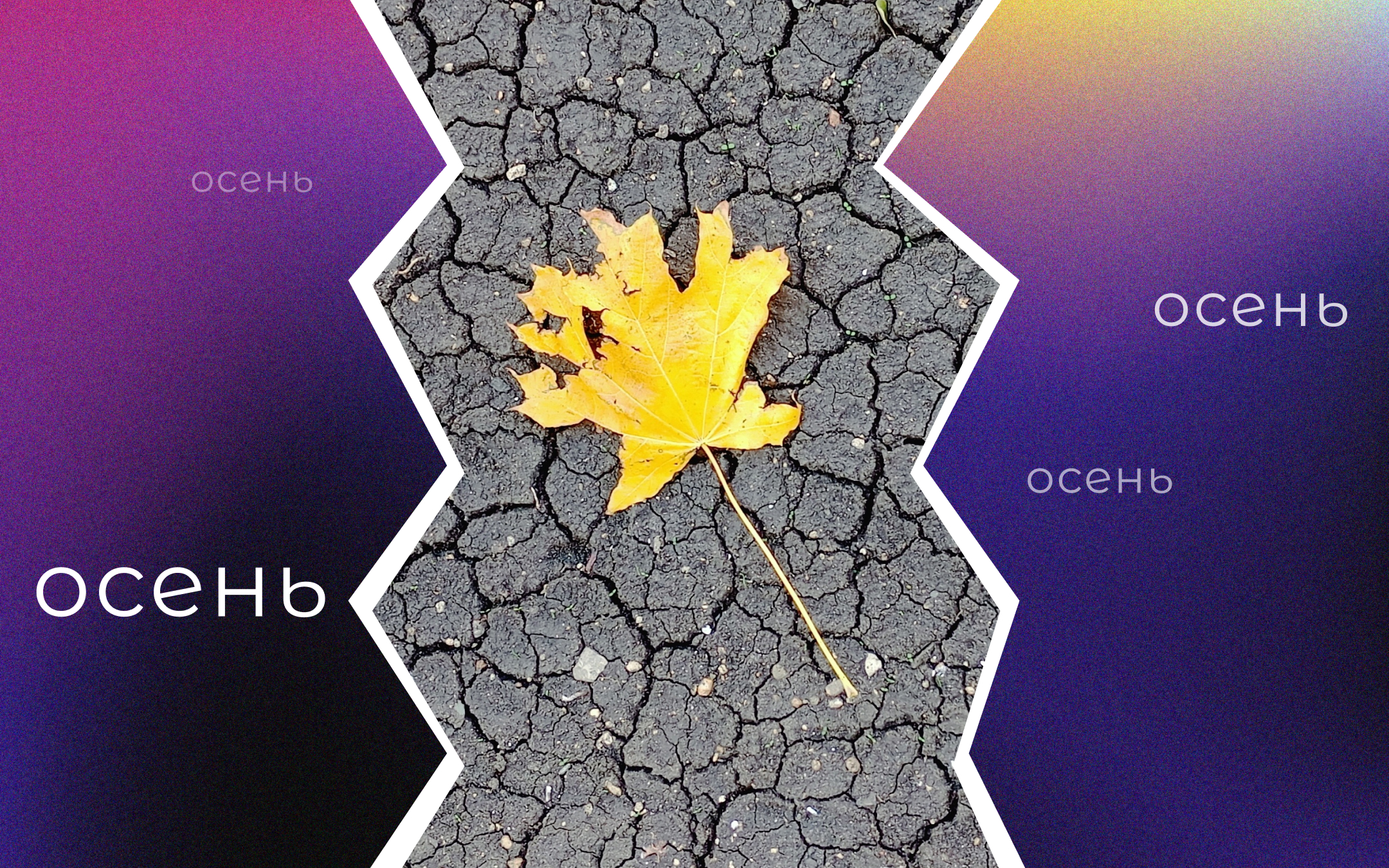 ФОТО-2024 — Изображение №4 — Графика, Маркетинг на Dprofile