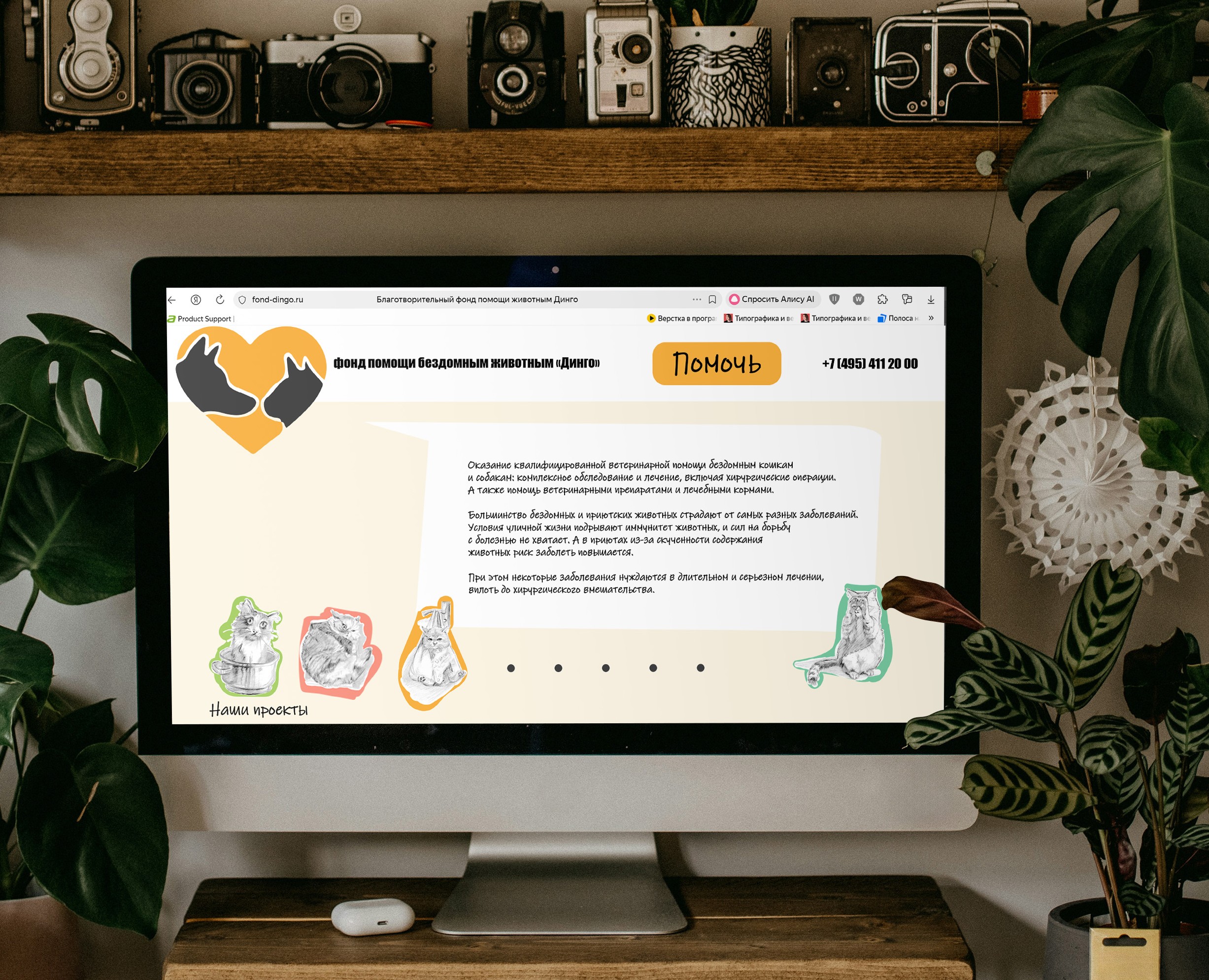 Айдентика для фонда помощи бездомным животным «Динго» — Брендинг на Dprofile