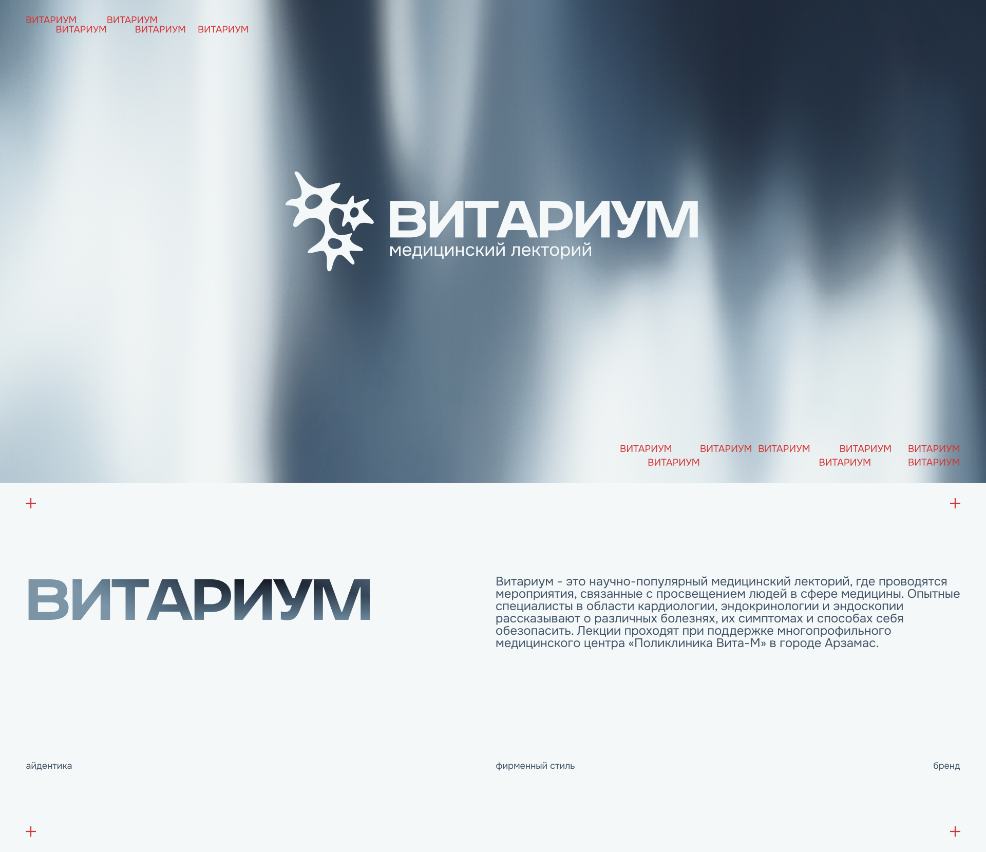 Айдентика для медицинского лектория ВИТАРИУМ — Изображение №1 — Брендинг, Графика на Dprofile