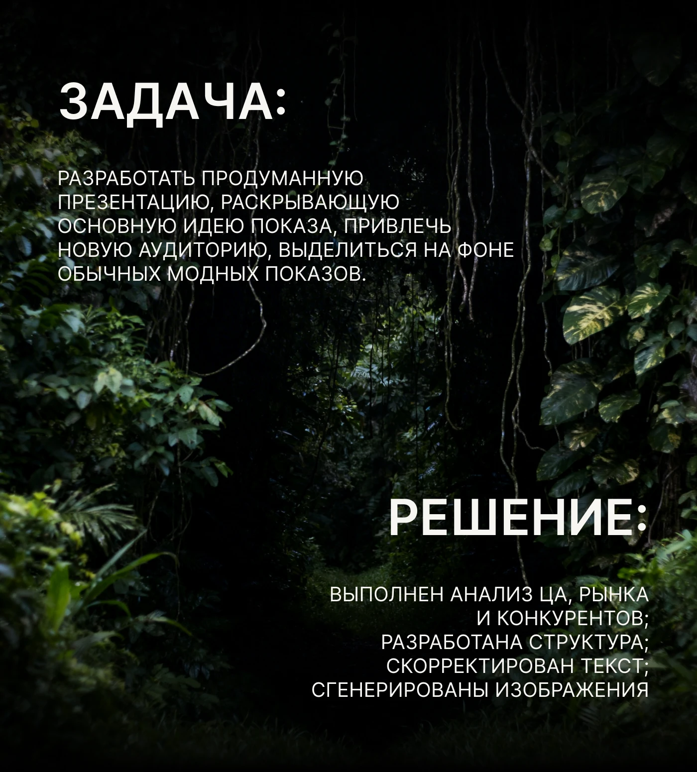 Презентация модного показа — Изображение №3 — Графика, Маркетинг на Dprofile