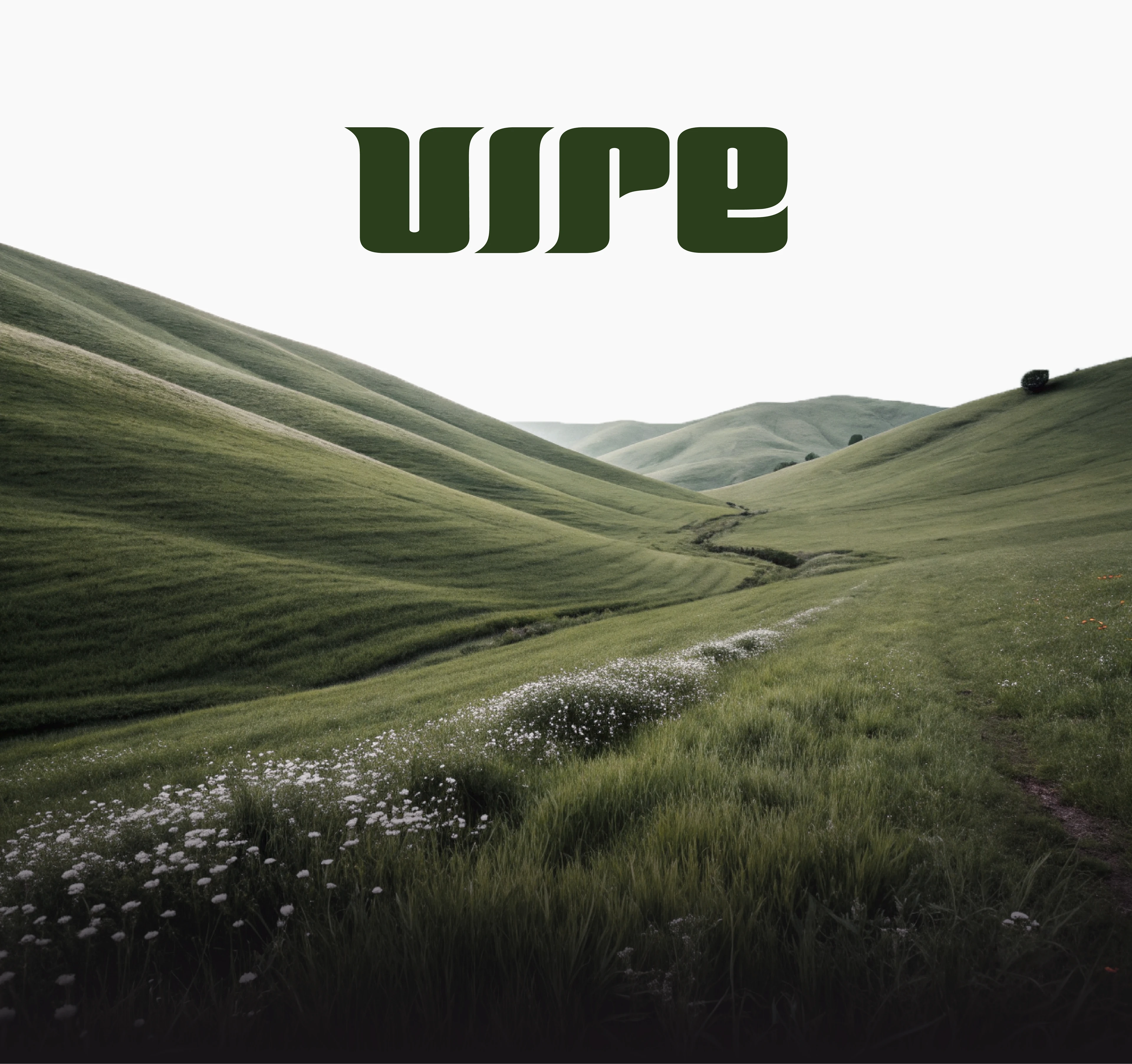 VIRE | Brand Identity | Фирменный стиль, эко-бренд — Изображение №2 — Брендинг на Dprofile