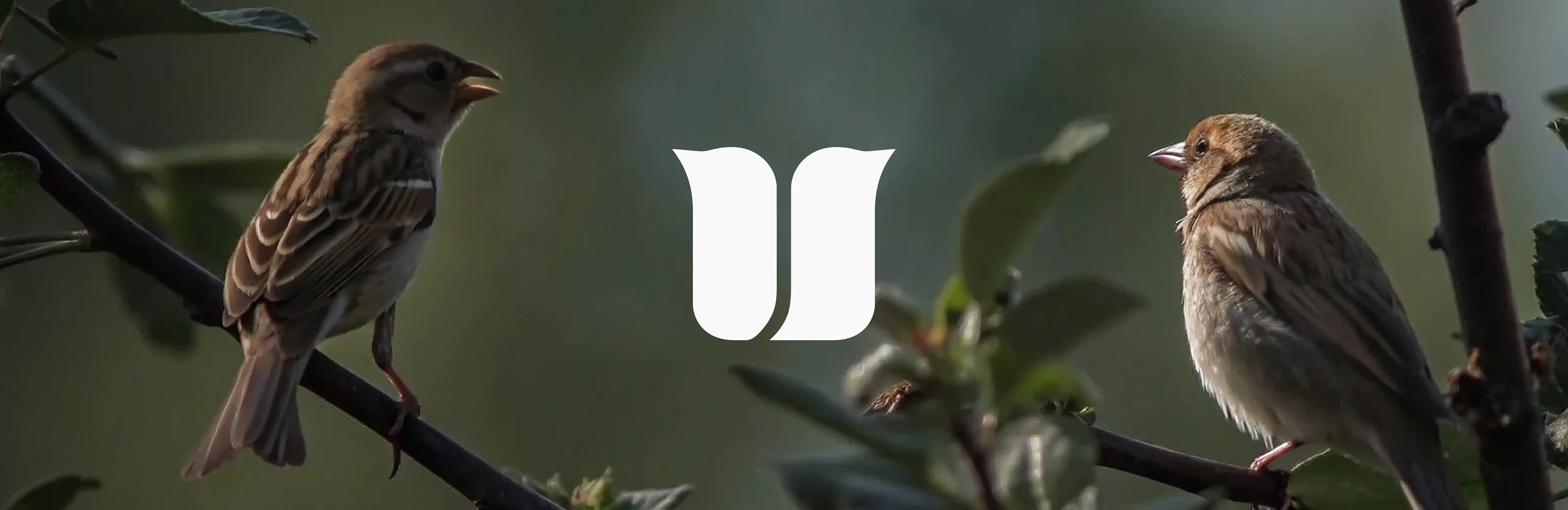 VIRE | Brand Identity | Фирменный стиль, эко-бренд — Изображение №5 — Брендинг на Dprofile