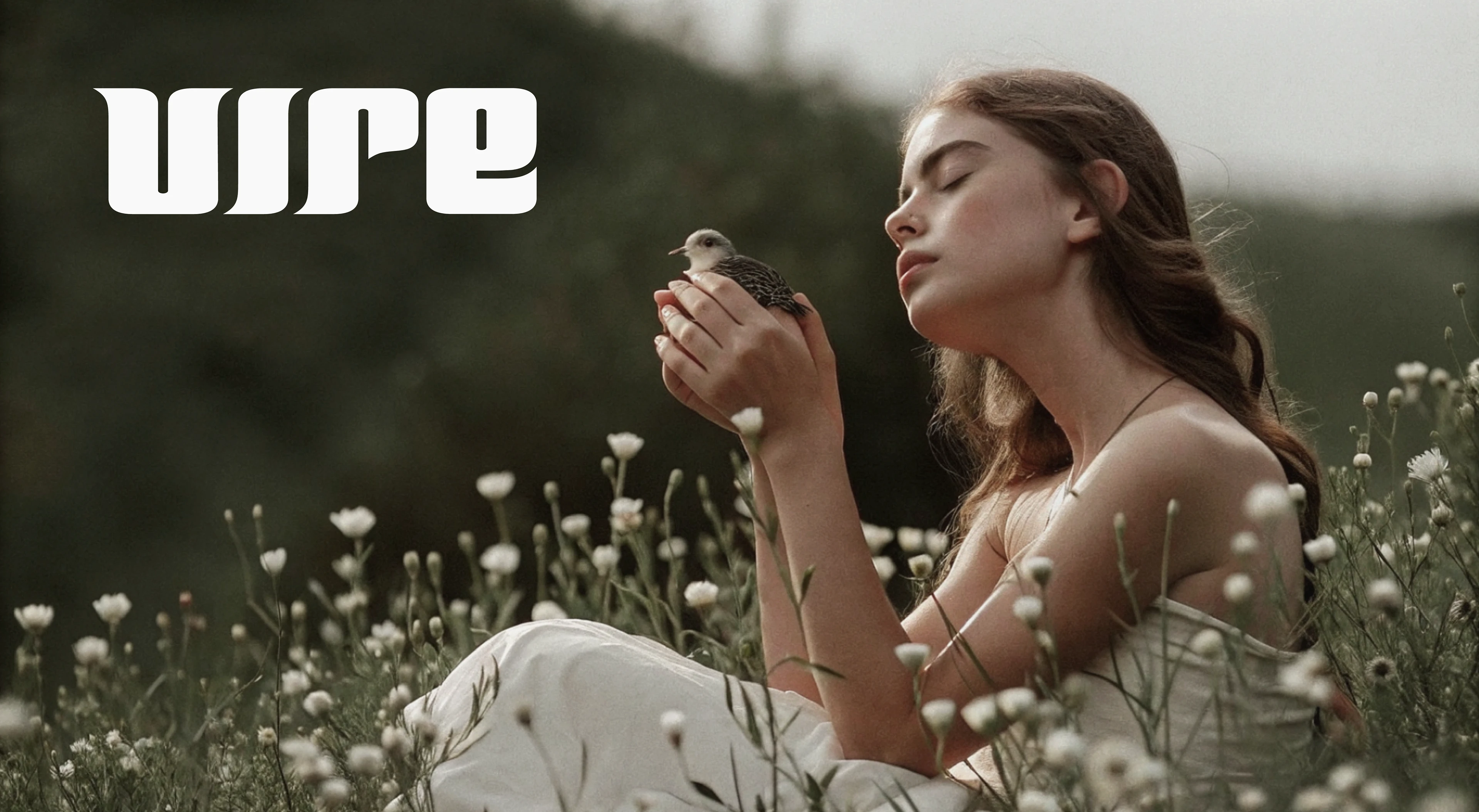 VIRE | Brand Identity | Фирменный стиль, эко-бренд — Изображение №1 — Брендинг на Dprofile