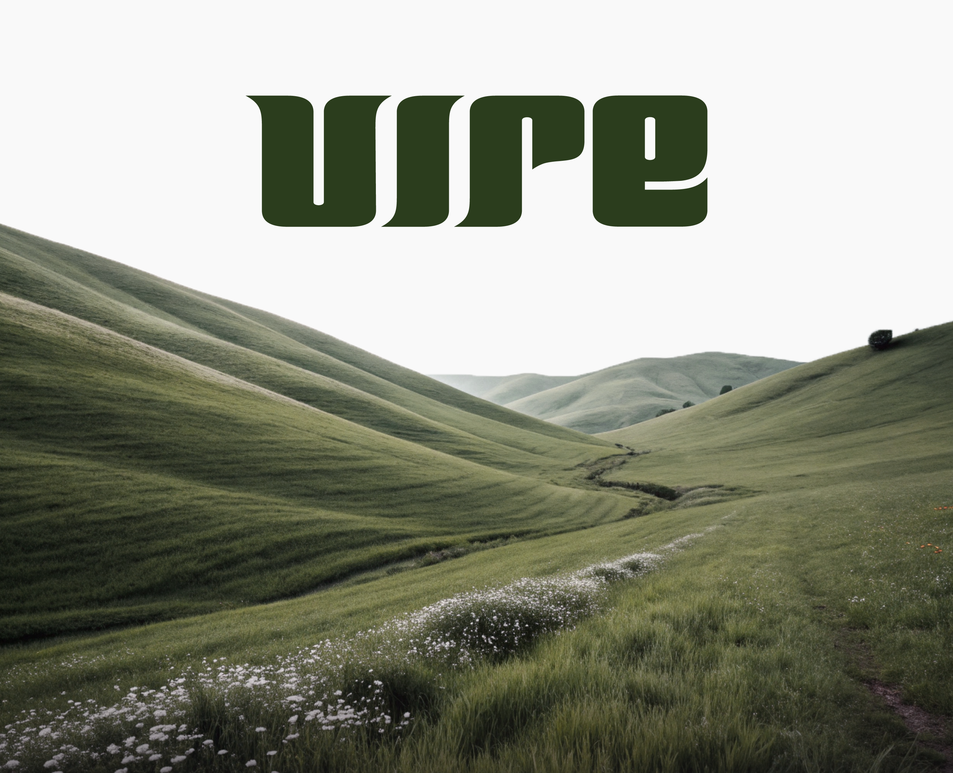 VIRE | Brand Identity | Фирменный стиль, эко-бренд — Брендинг на Dprofile