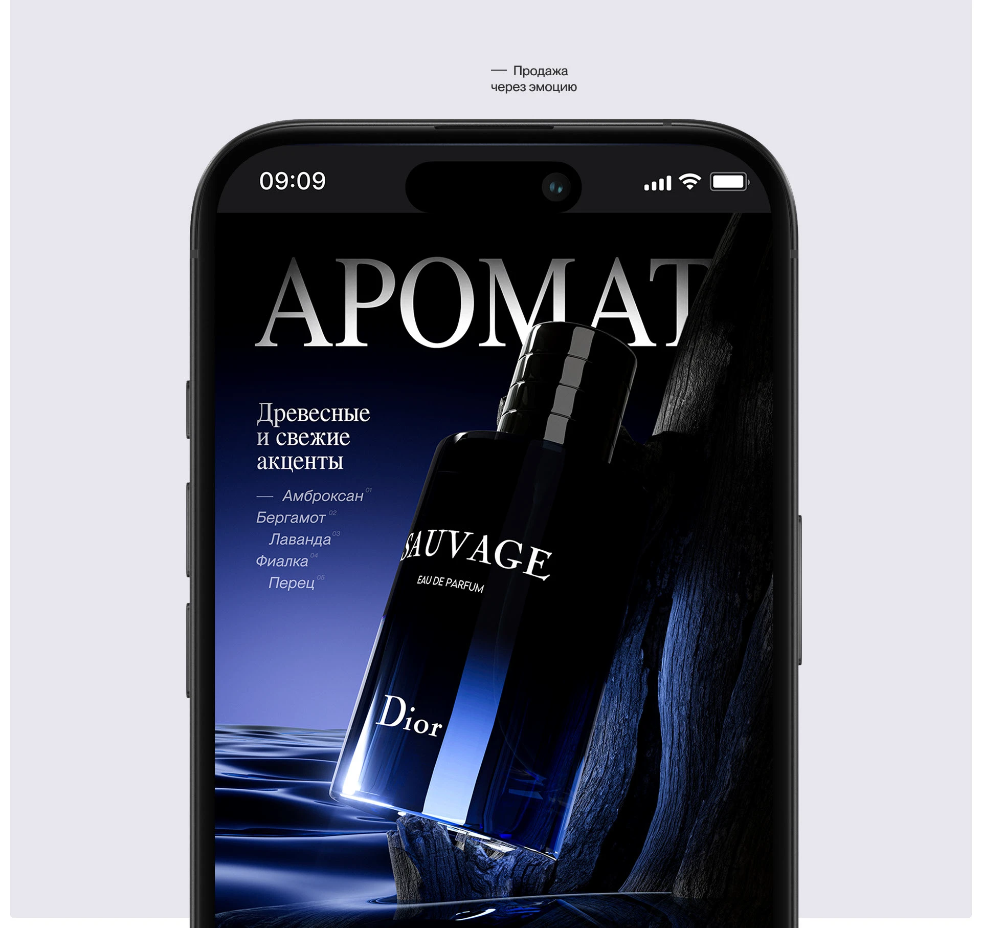 Дизайн карточки Dior Sauvage — Изображение №4 — Графика, Маркетинг на Dprofile