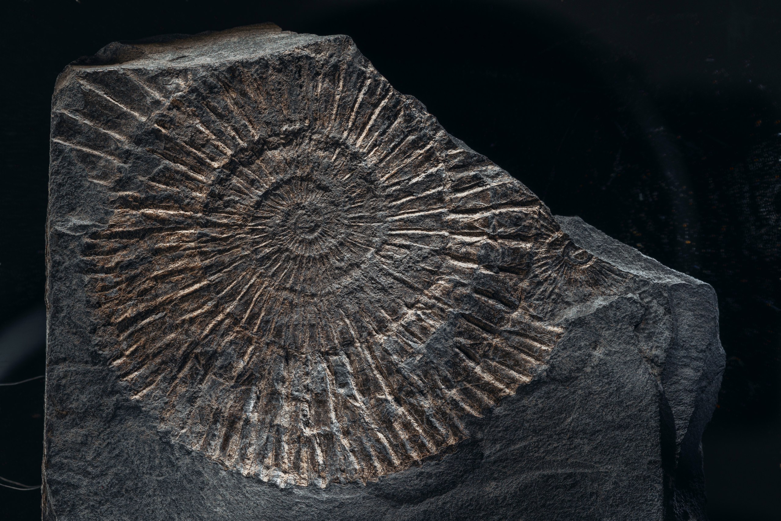 Календарь угольной компании — Изображение №8 — Графика на Dprofile