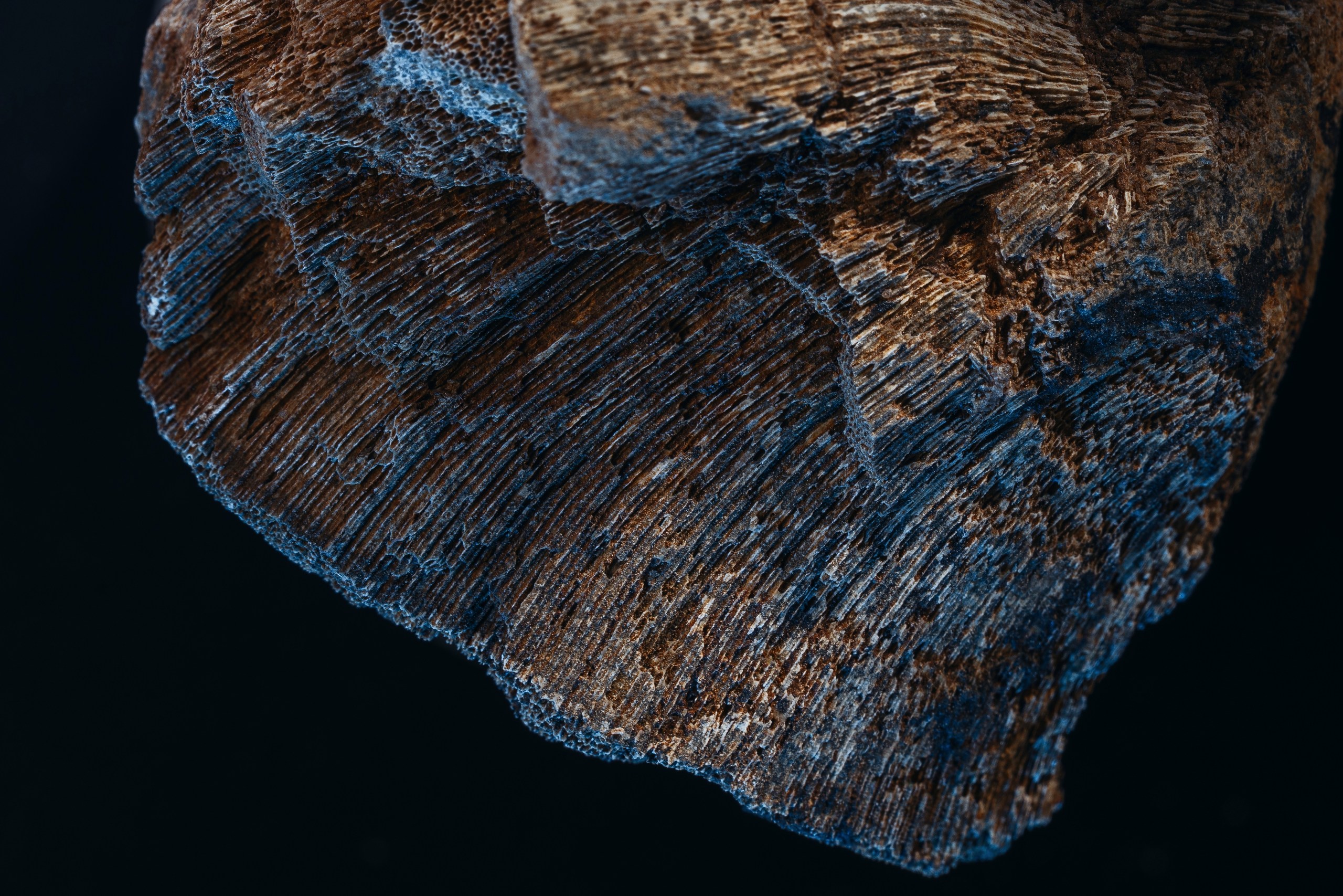 Календарь угольной компании — Изображение №1 — Графика на Dprofile