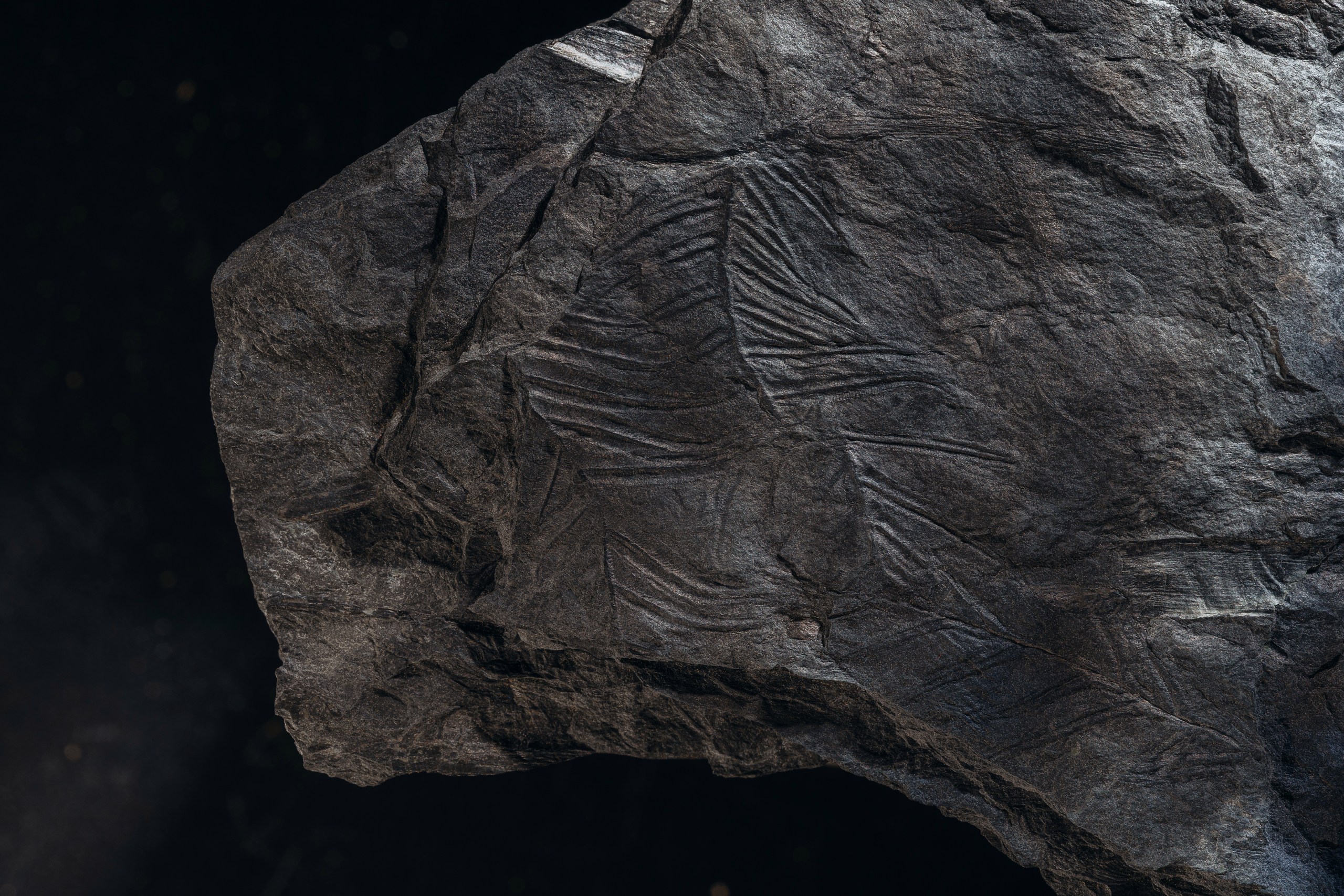 Календарь угольной компании — Изображение №5 — Графика на Dprofile