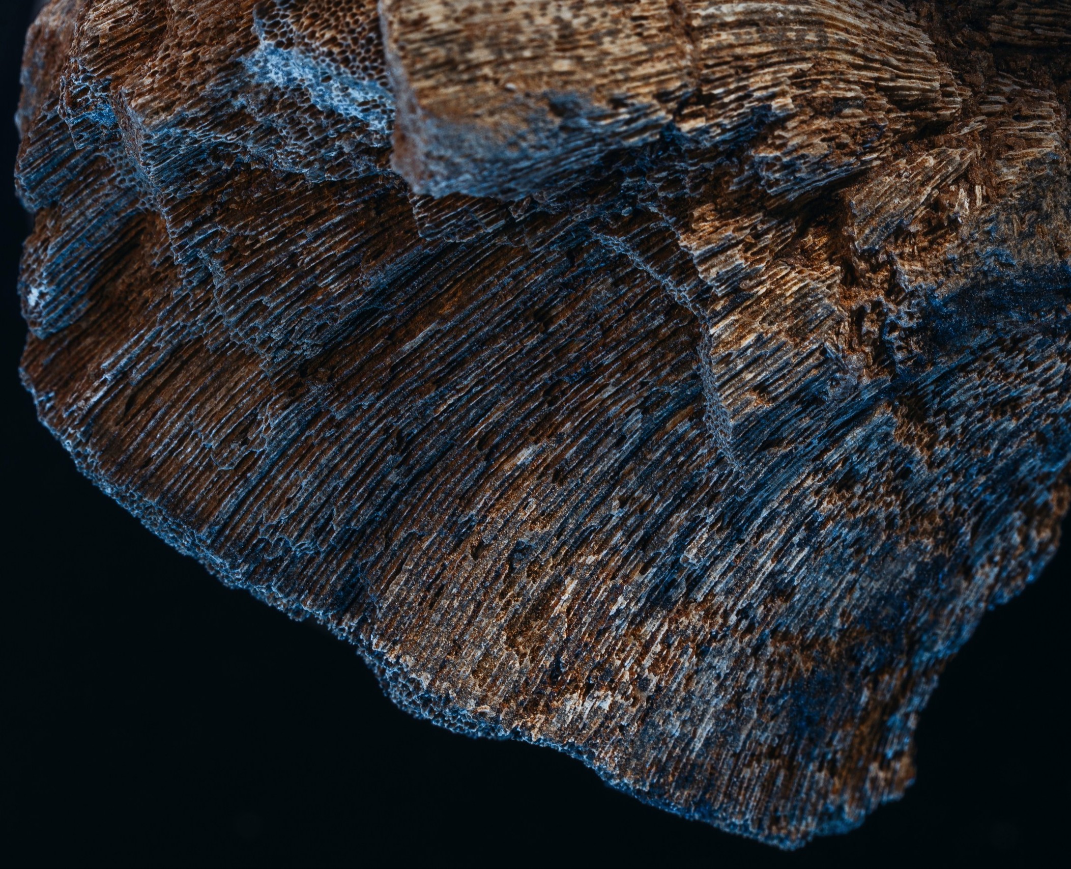 Календарь угольной компании на Dprofile