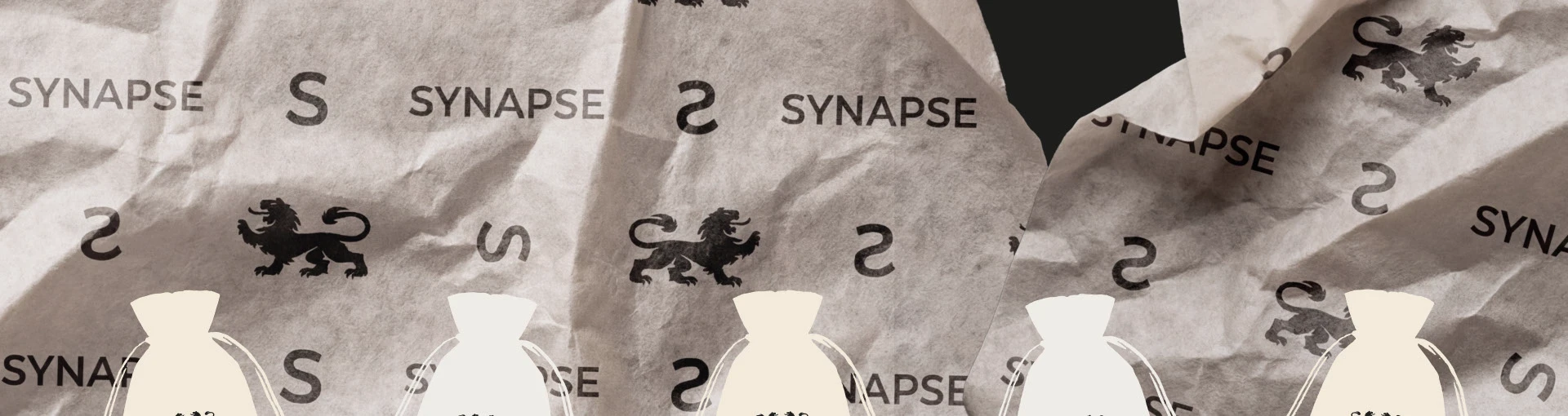 Synapse | Brand & Packaging Identity — Изображение №4 — Брендинг на Dprofile