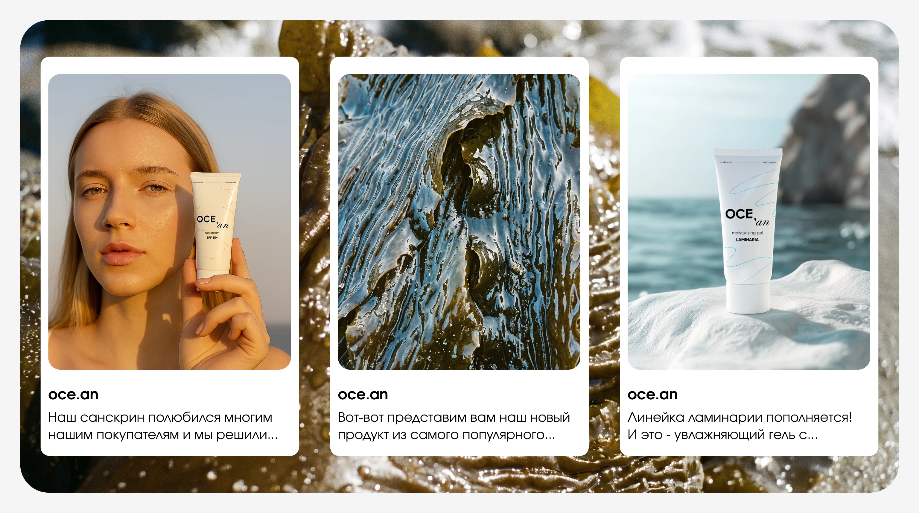 Айдентика an OCEan — Изображение №10 — Брендинг на Dprofile