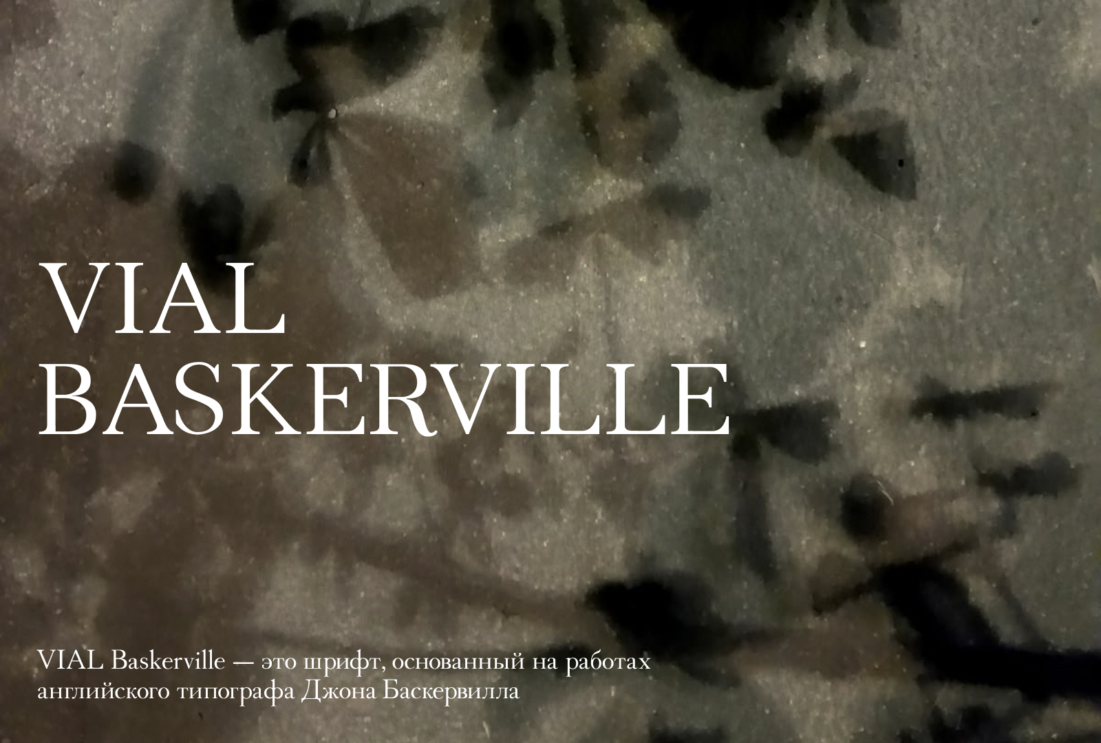 VIAL Baskerville — Изображение №1 — Графика на Dprofile