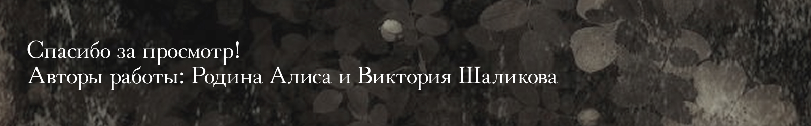 VIAL Baskerville — Изображение №4 — Графика на Dprofile