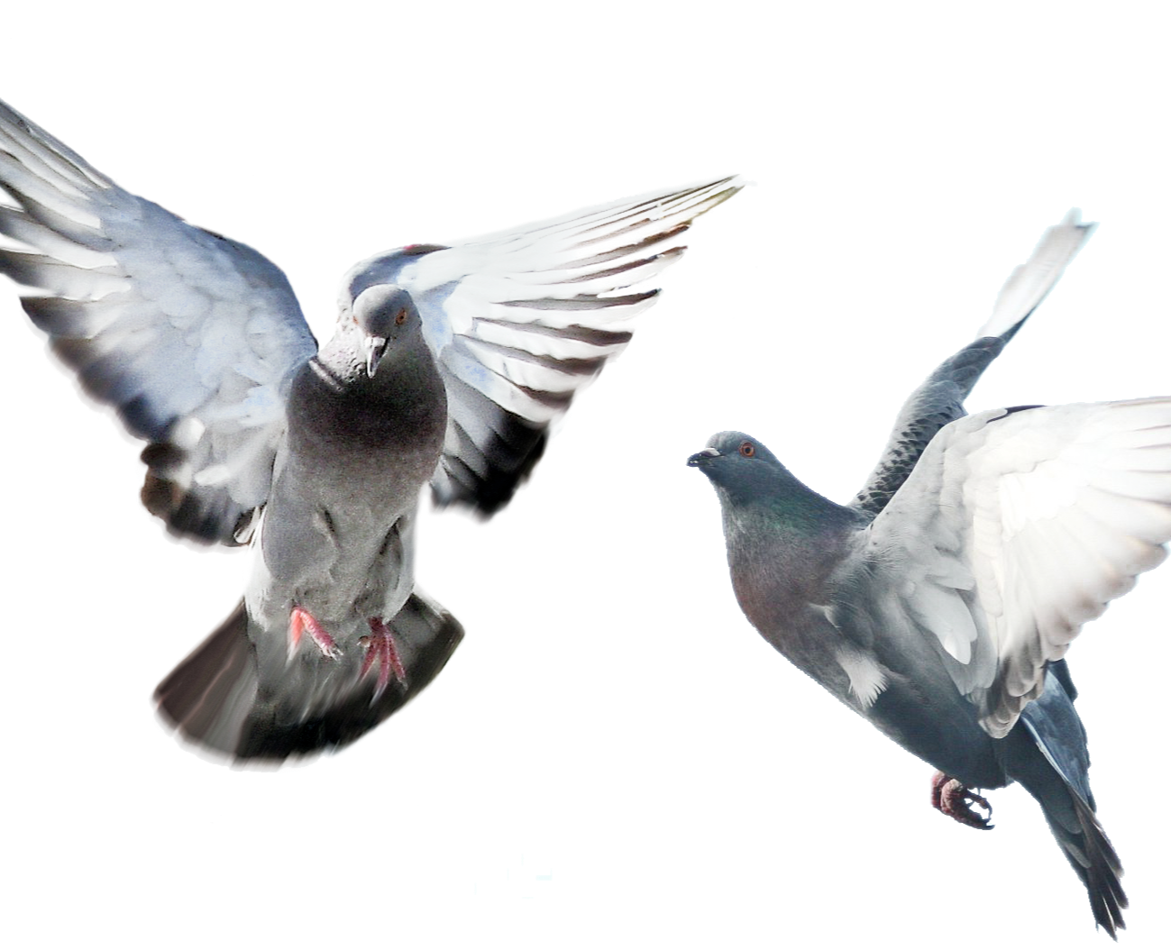 Портфолио дизайнера — Иллюстрация на Dprofile