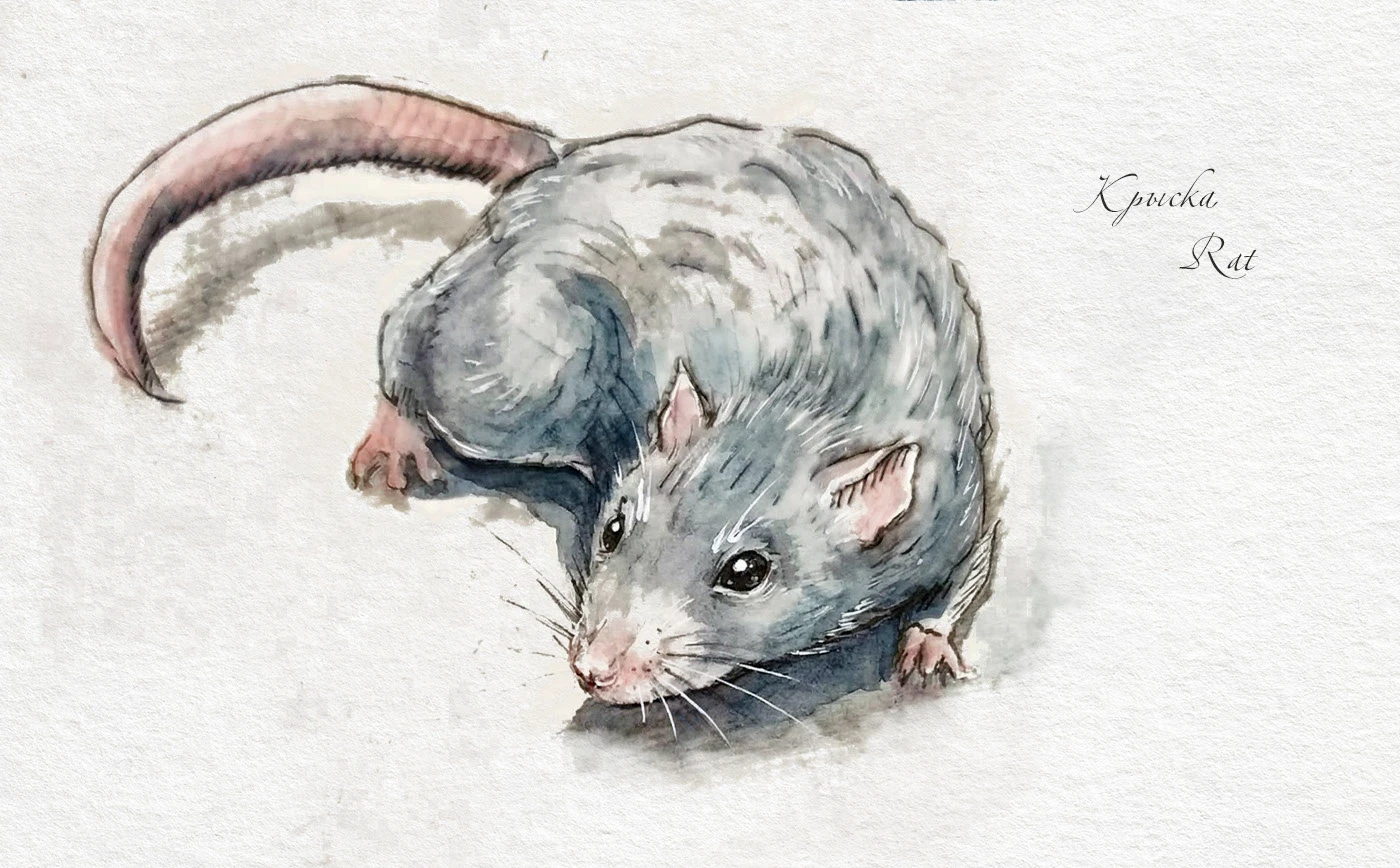 Inktober - 2018 — Изображение №15 — Иллюстрация на Dprofile