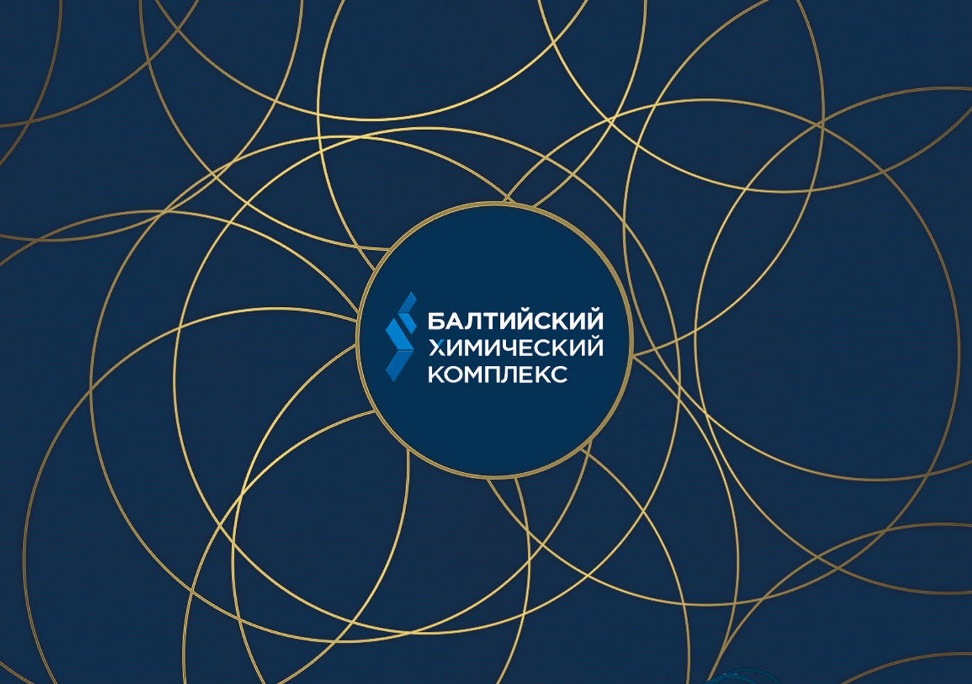 Проекты для компании «БХК» — Изображение №31 — Брендинг, Графика на Dprofile